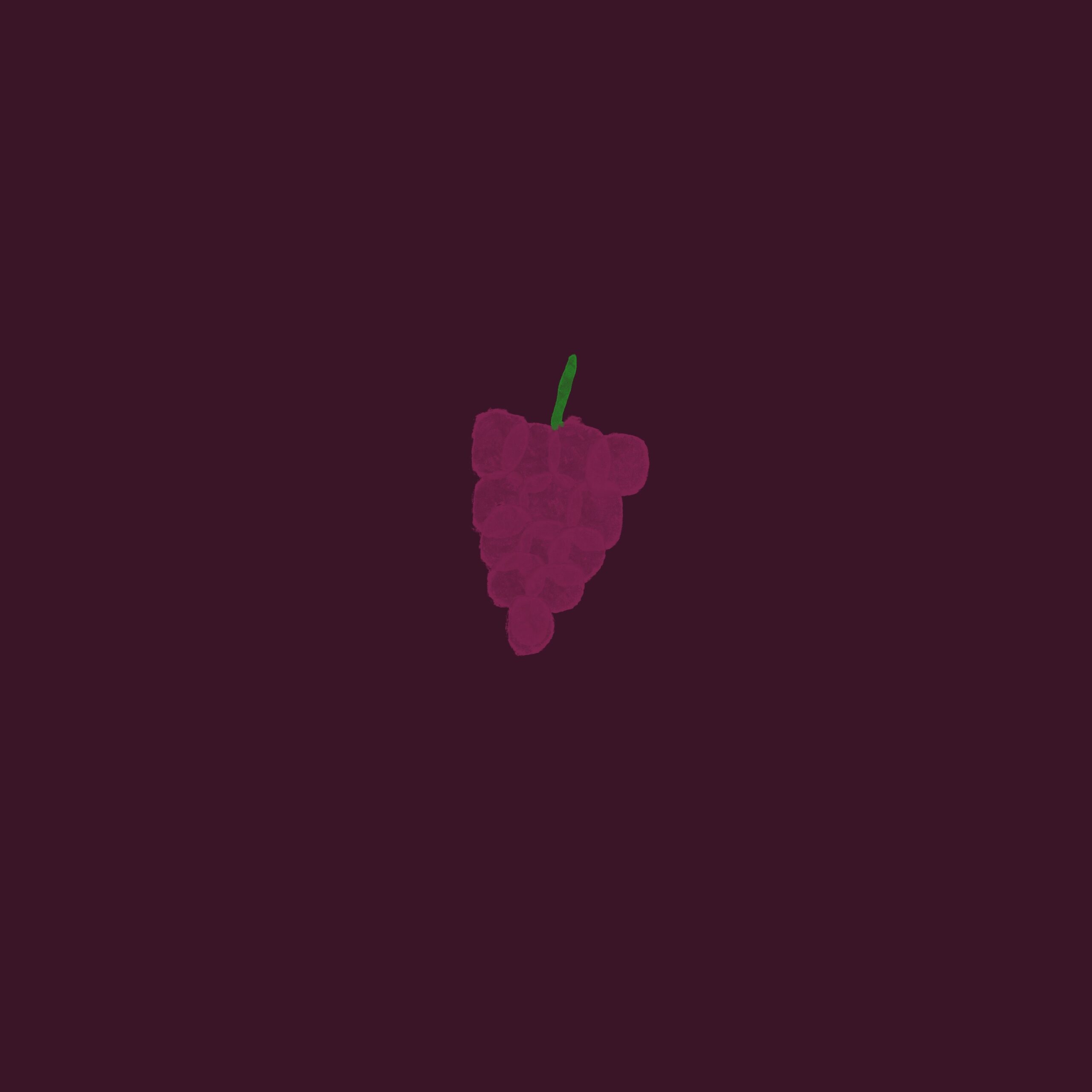 grape 1 scaled