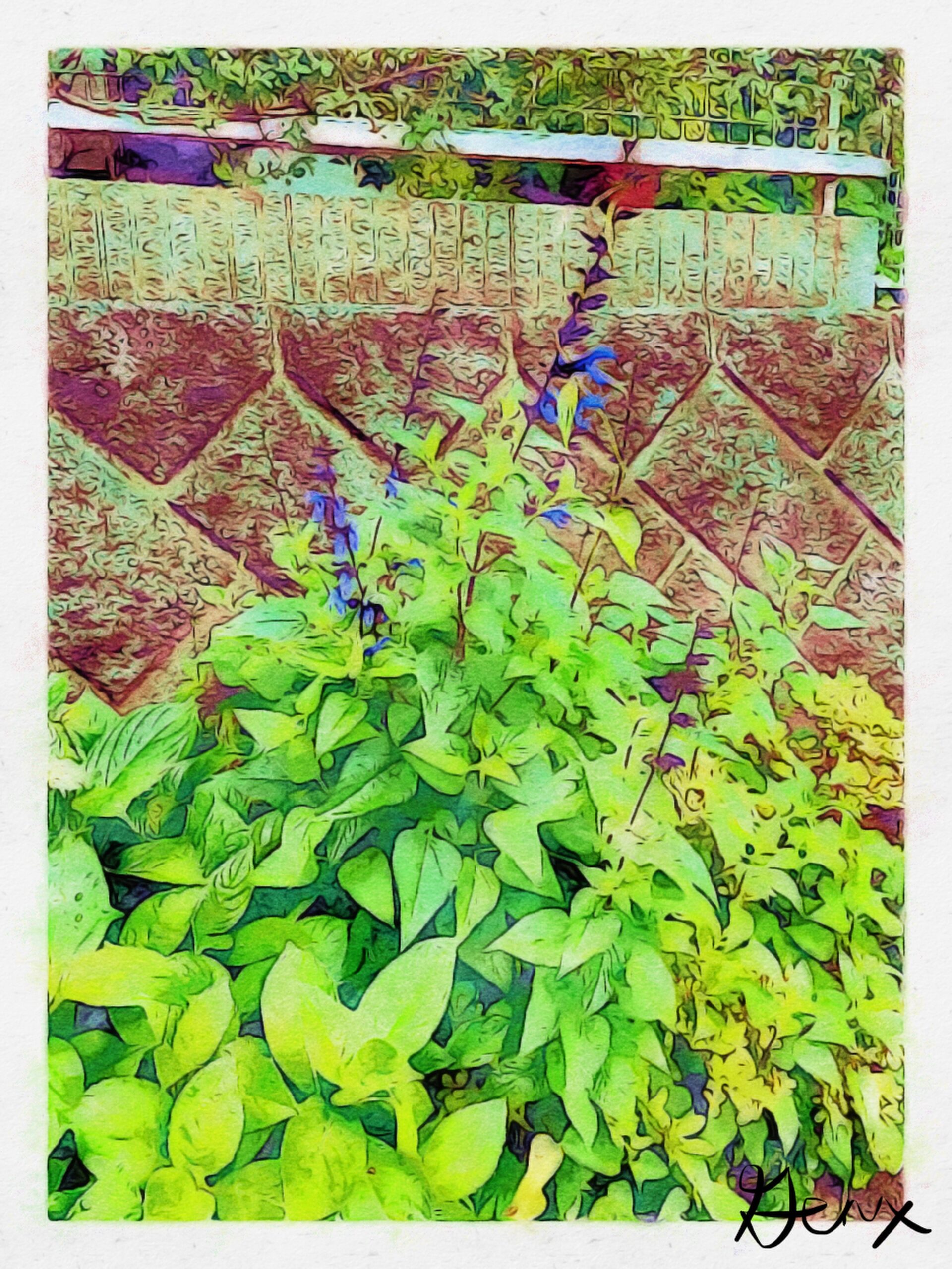 [Art] Bush