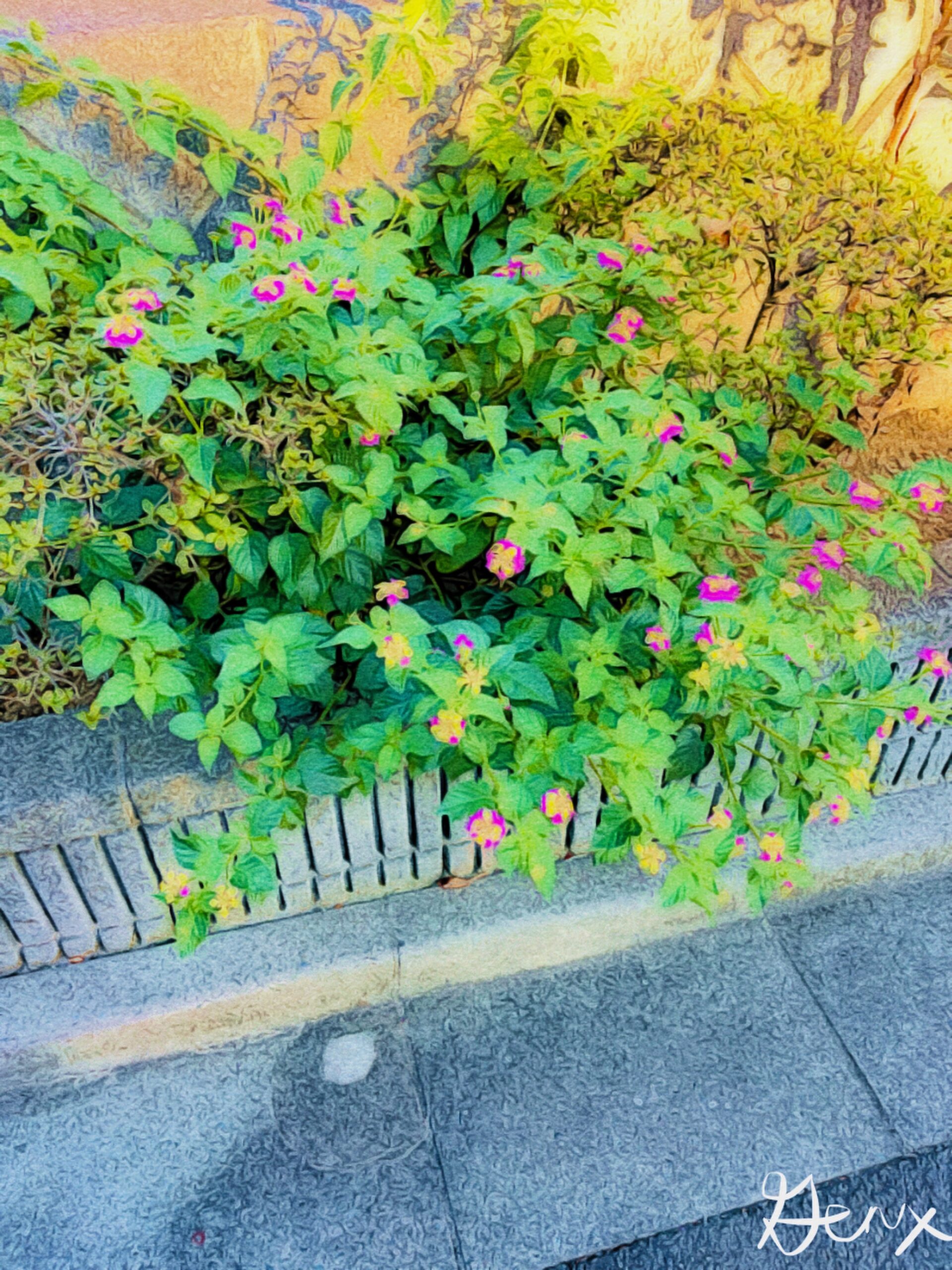 [Art] Flower In October