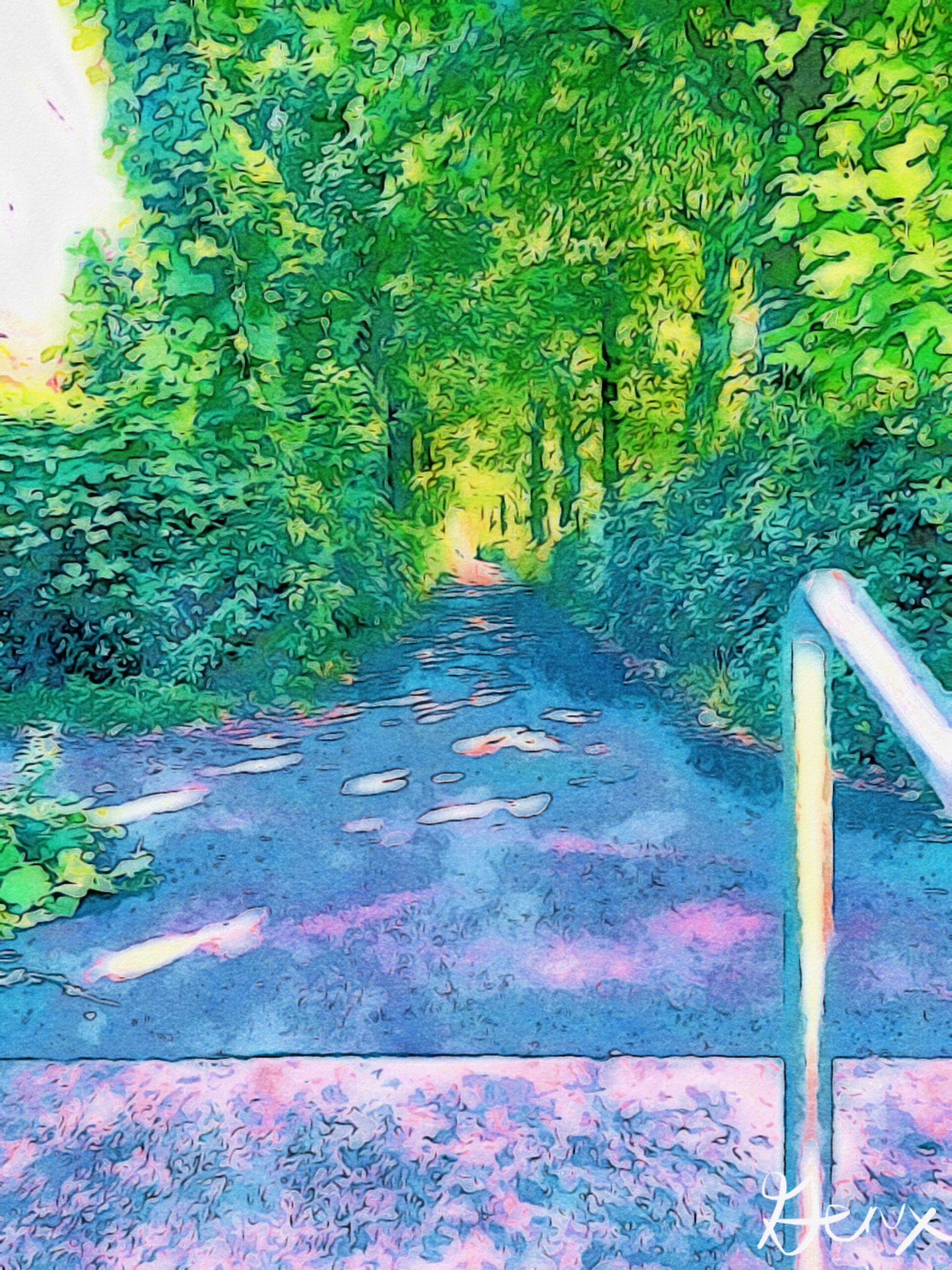 [Art] Ki No Tunnel