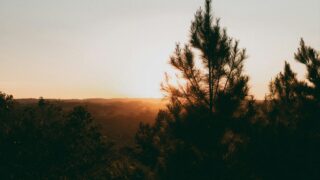 alexander mass 0Pp1M0q97bc unsplash