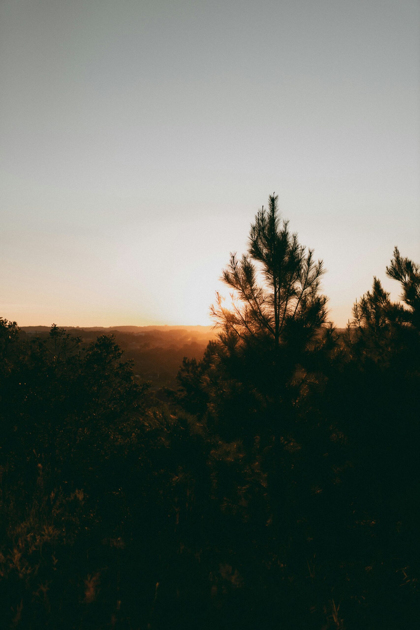 alexander mass 0Pp1M0q97bc unsplash scaled