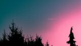 jonas von werne W1ZwQmSs6qE unsplash