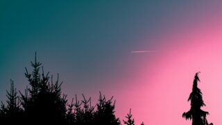 jonas von werne W1ZwQmSs6qE unsplash