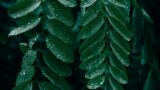 wyxina tresse EmDUKfUppDc unsplash