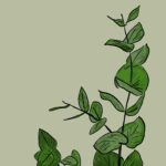 annie spratt 7 E5o8Uu1iI unsplash
