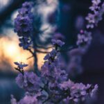 daniil silantev mJ3v0D8Su1w unsplash