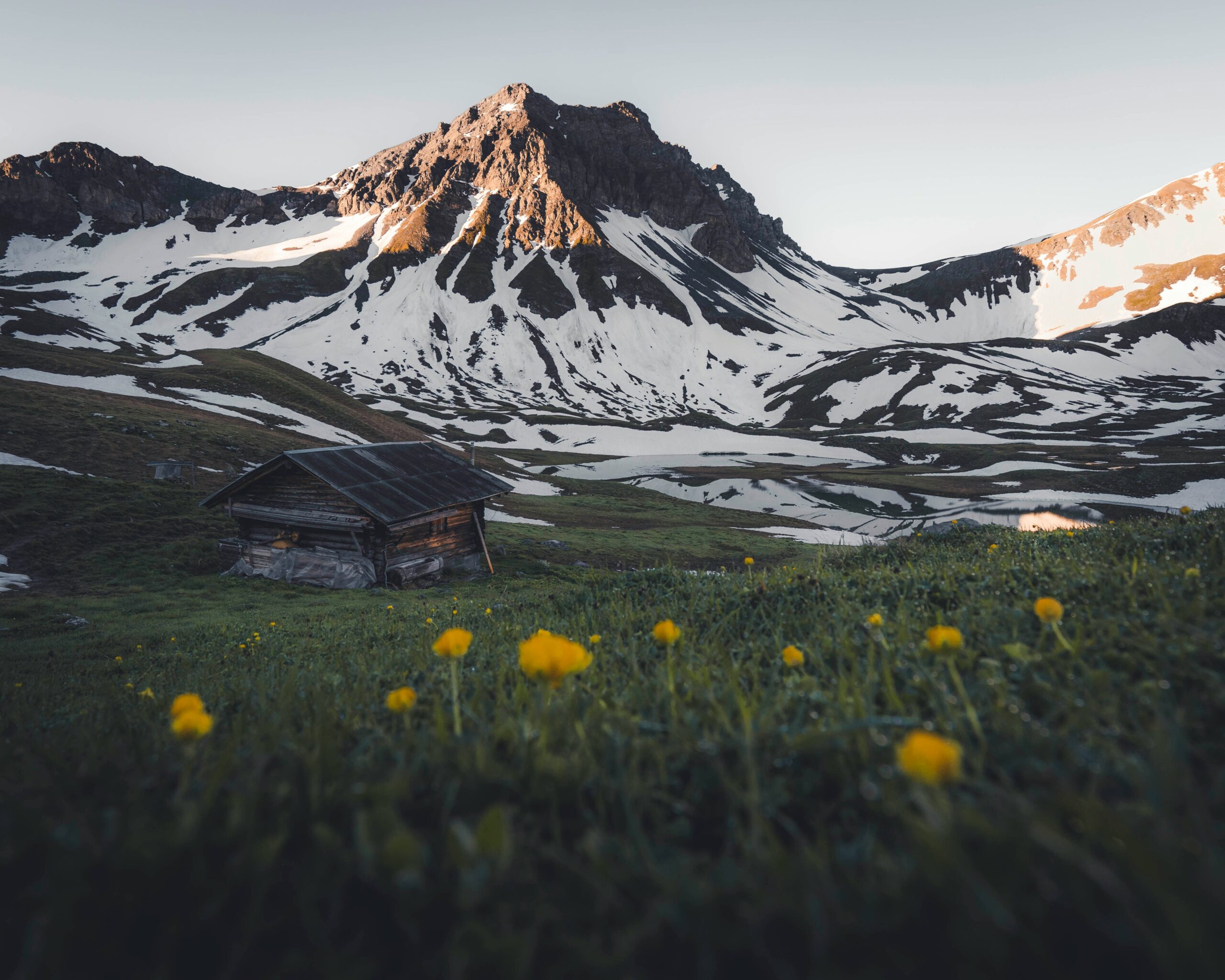 dario jud h53hYVUnX2g unsplash scaled
