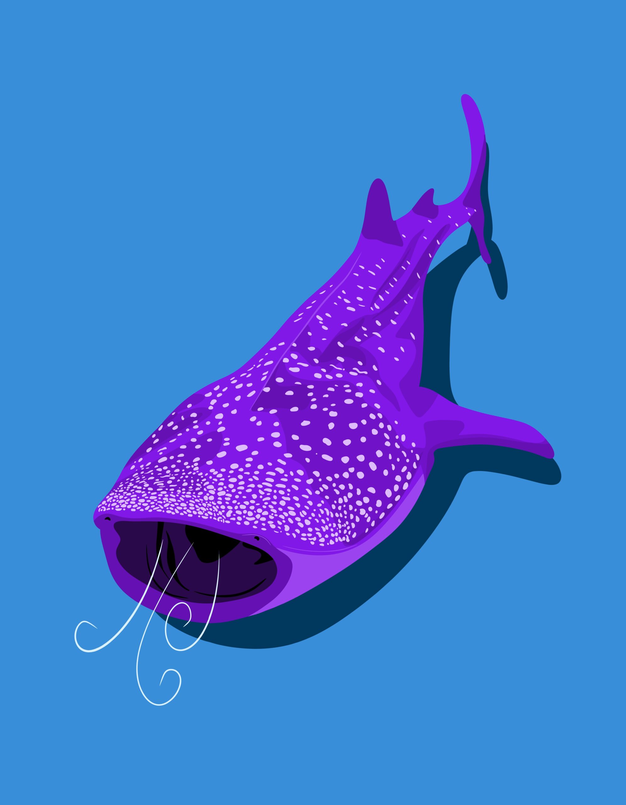 esma melike sezer BFpa61bI58o unsplash scaled