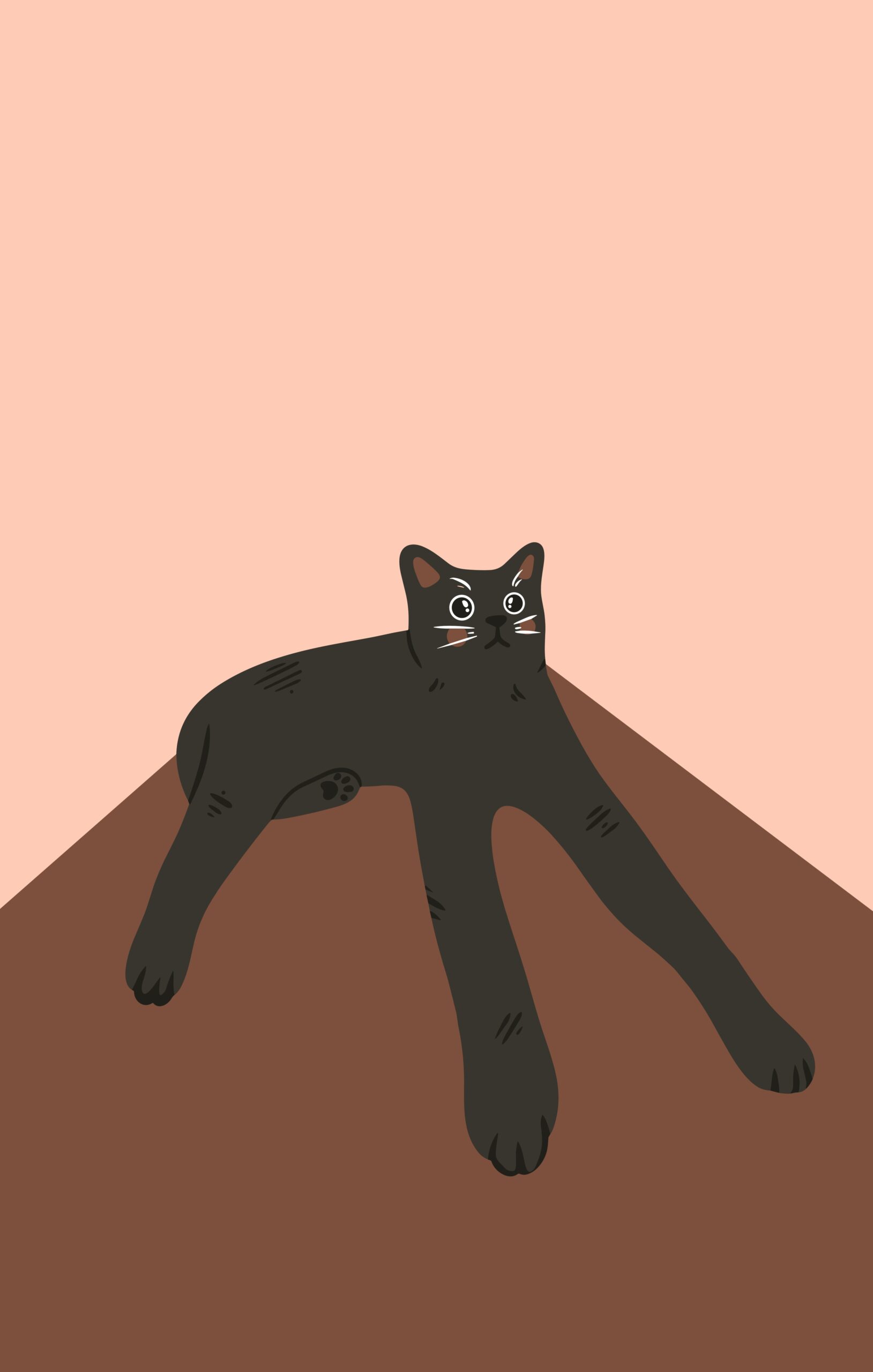 esma melike sezer MwJbGqhRZT8 unsplash scaled