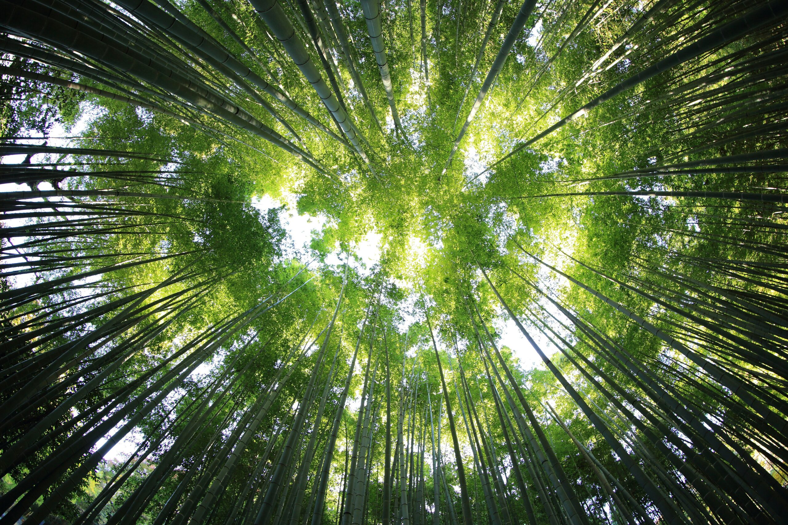 kazuend 19SC2oaVZW0 unsplash scaled