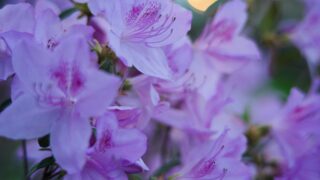 aaron burden BvaM1HhX6ik unsplash