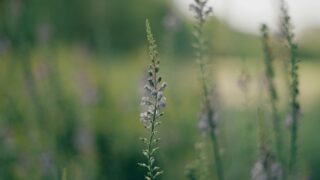 aaron burden g3mSPoc ru4 unsplash