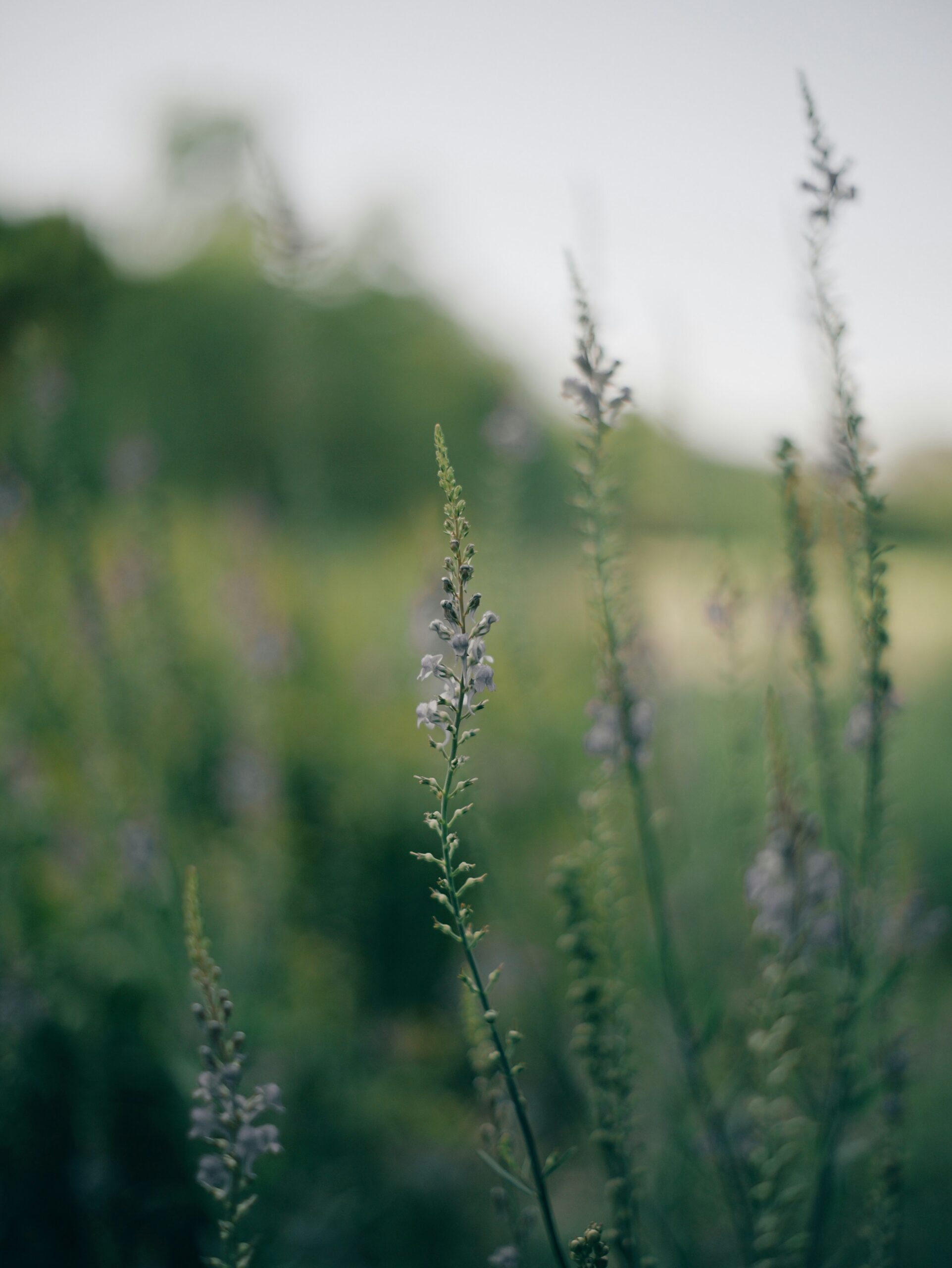 aaron burden g3mSPoc ru4 unsplash scaled