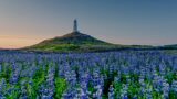 colin watts UnbrEiHyuuo unsplash