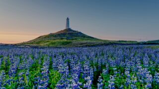 colin watts UnbrEiHyuuo unsplash