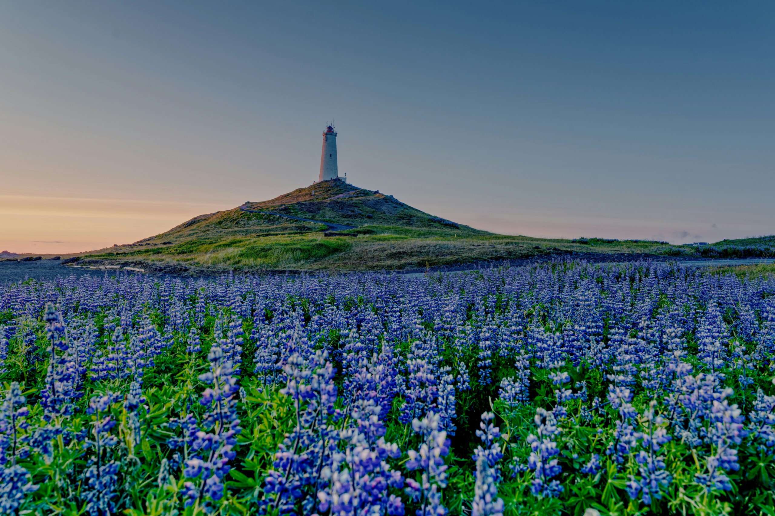 colin watts UnbrEiHyuuo unsplash scaled