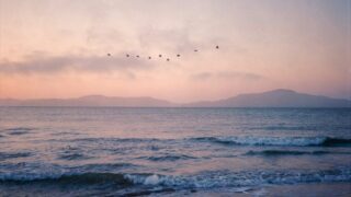 haotian zheng p05heiNYHMI unsplash