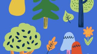 lisa barlow 1LXsyhqa YU unsplash