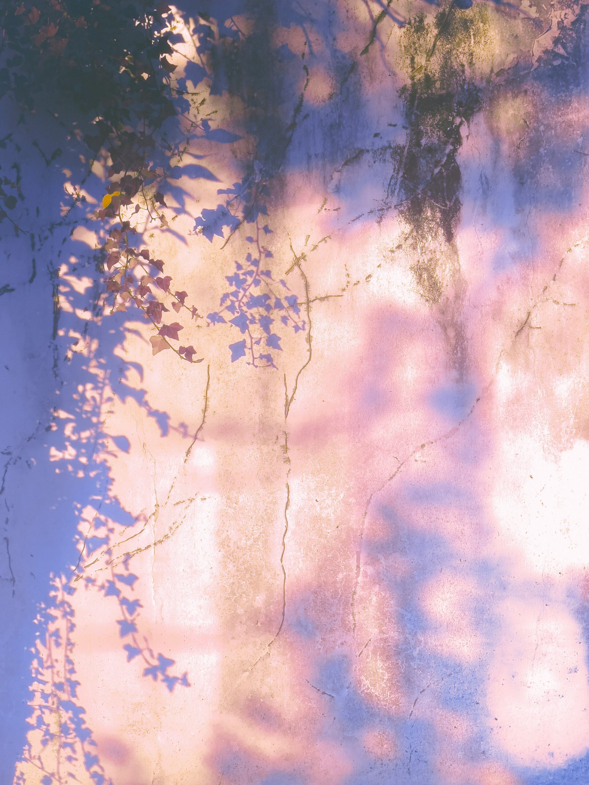 maria louceiro V4t9Mw5WM4w unsplash scaled