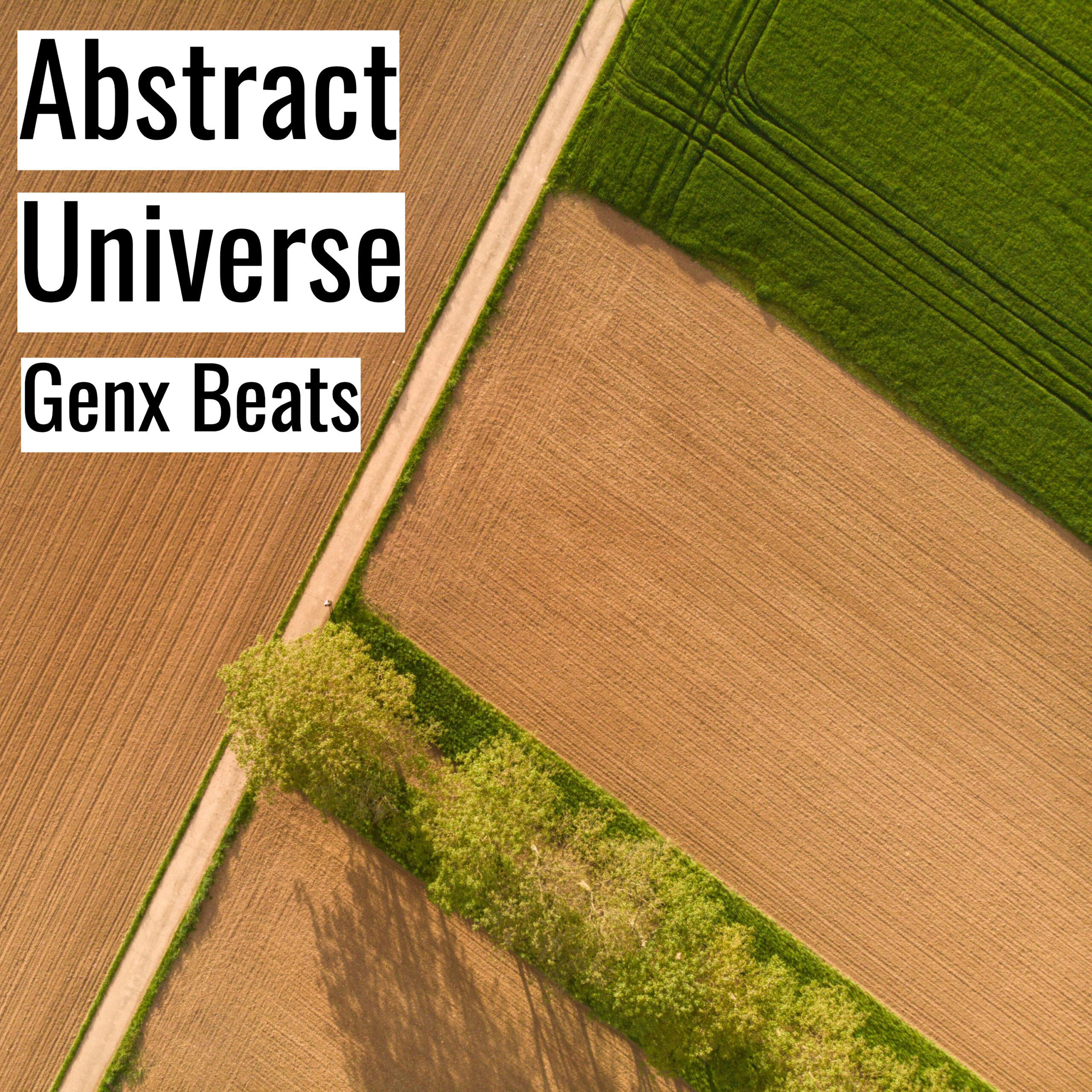 Abstract Universe scaled
