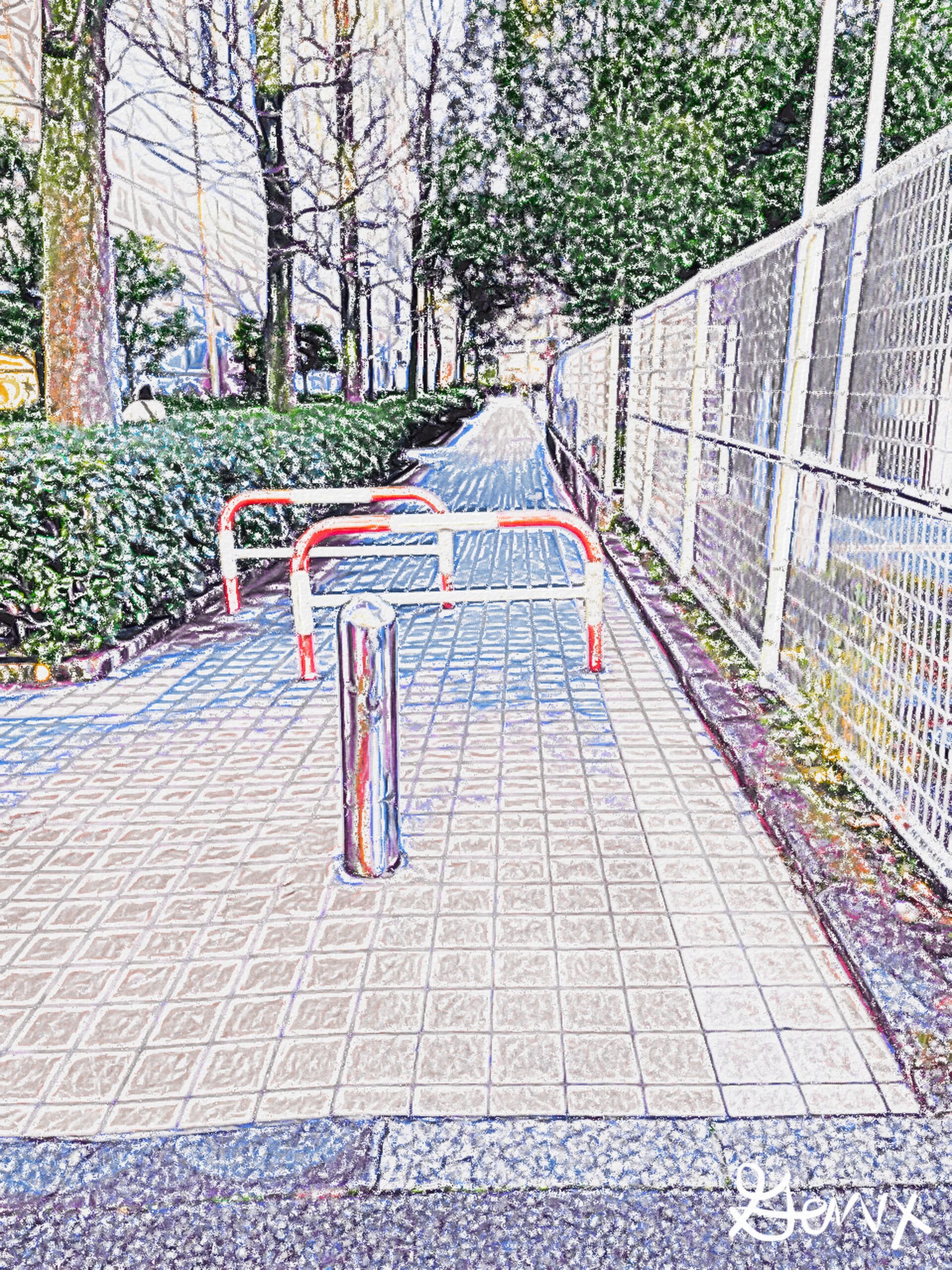 Afternoon Walk scaled