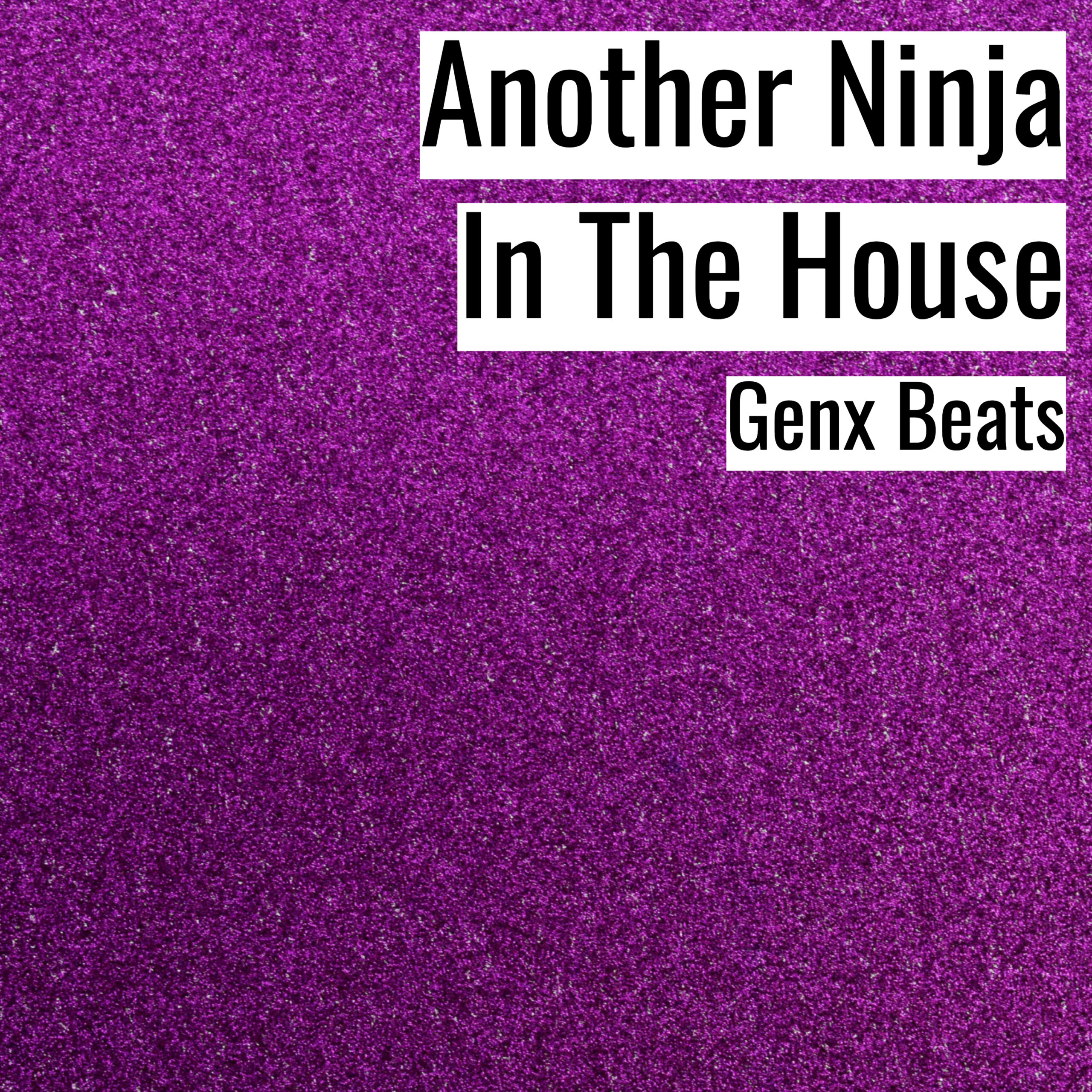 Another Ninja In The House scaled