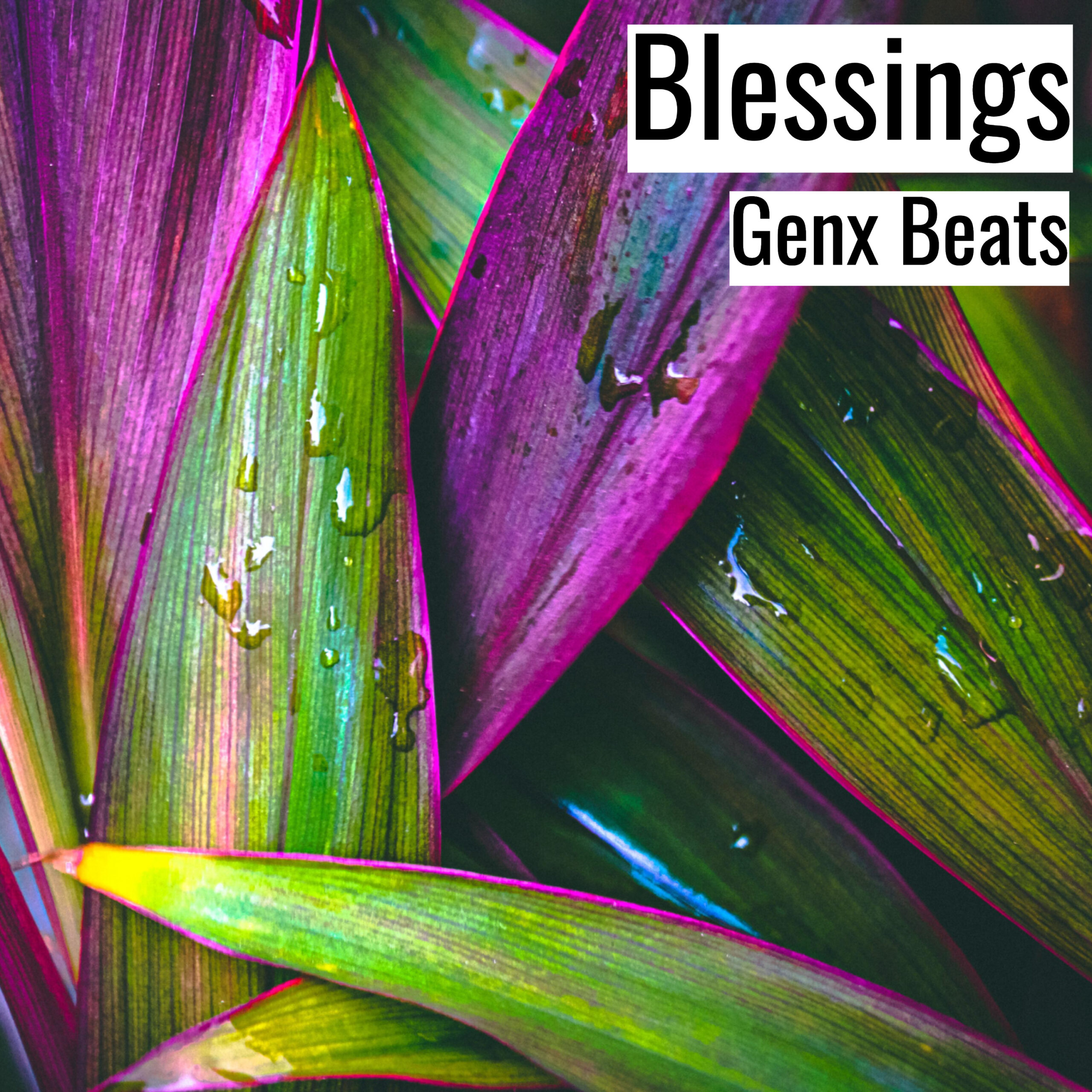 [Emotional Hiphop Beat] Blessings – Genx Beats