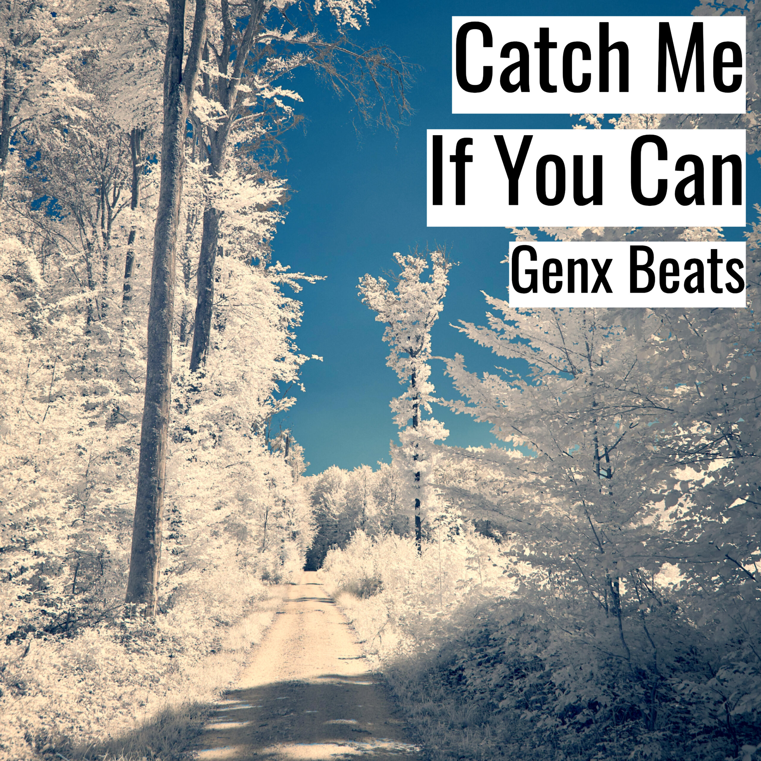 [Emotional Hiphop Beat] Catch Me If You Can – Genx Beats