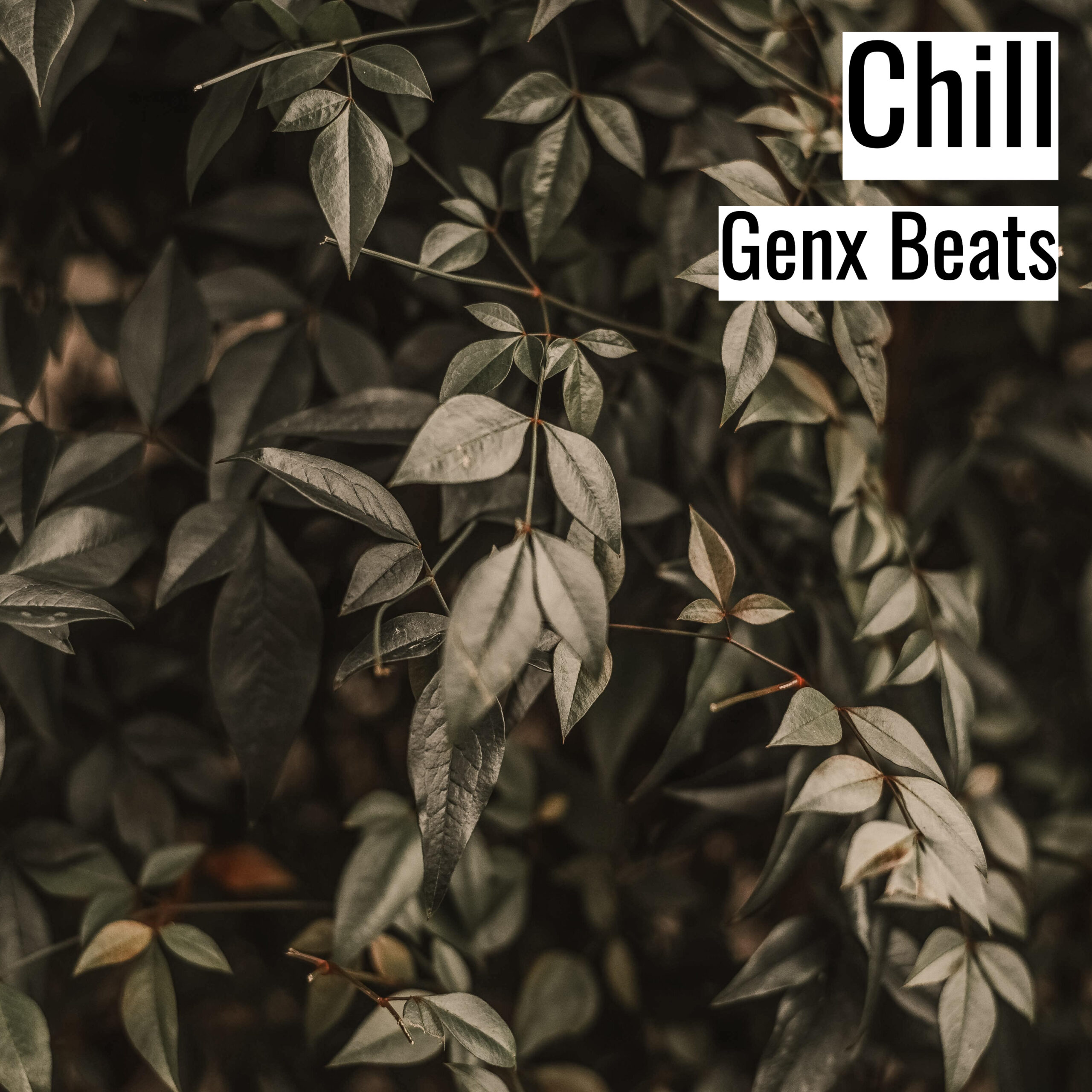 [Emotional Hiphop Beat] Chill – Genx Beats