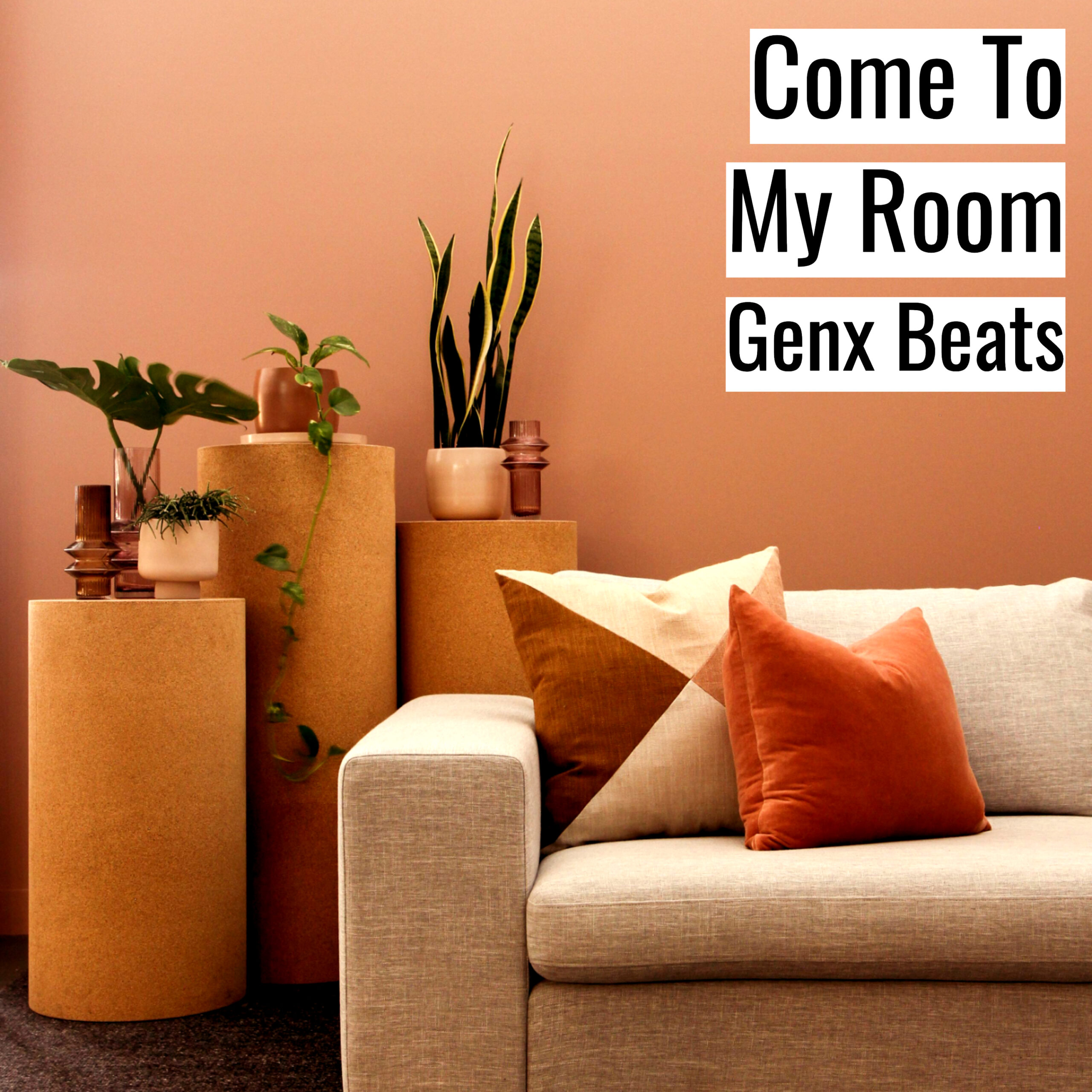 [Emotional Hiphop Beat] Come To My Room – Genx Beats