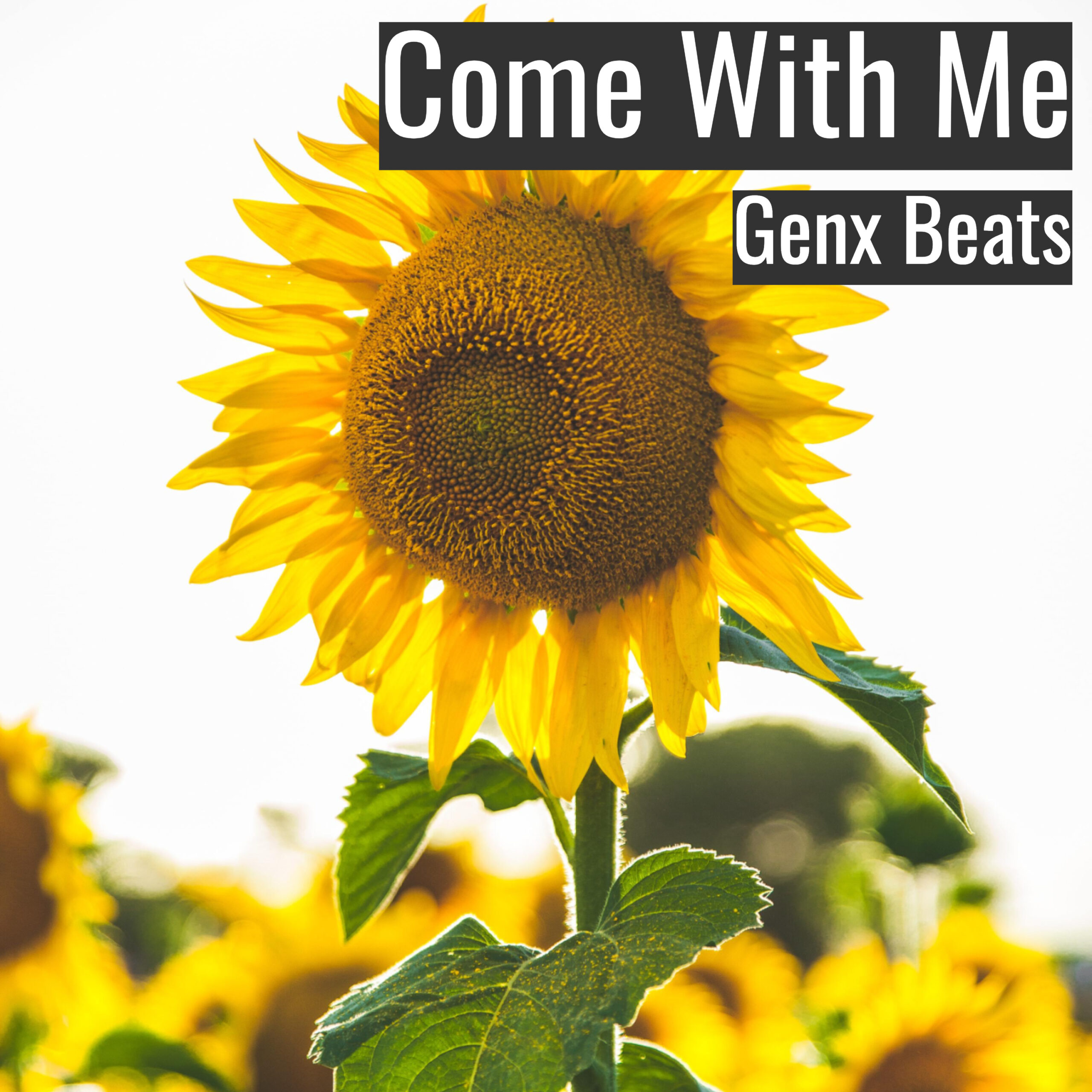 [Emotional Hiphop Beat] Come With Me – Genx Beats