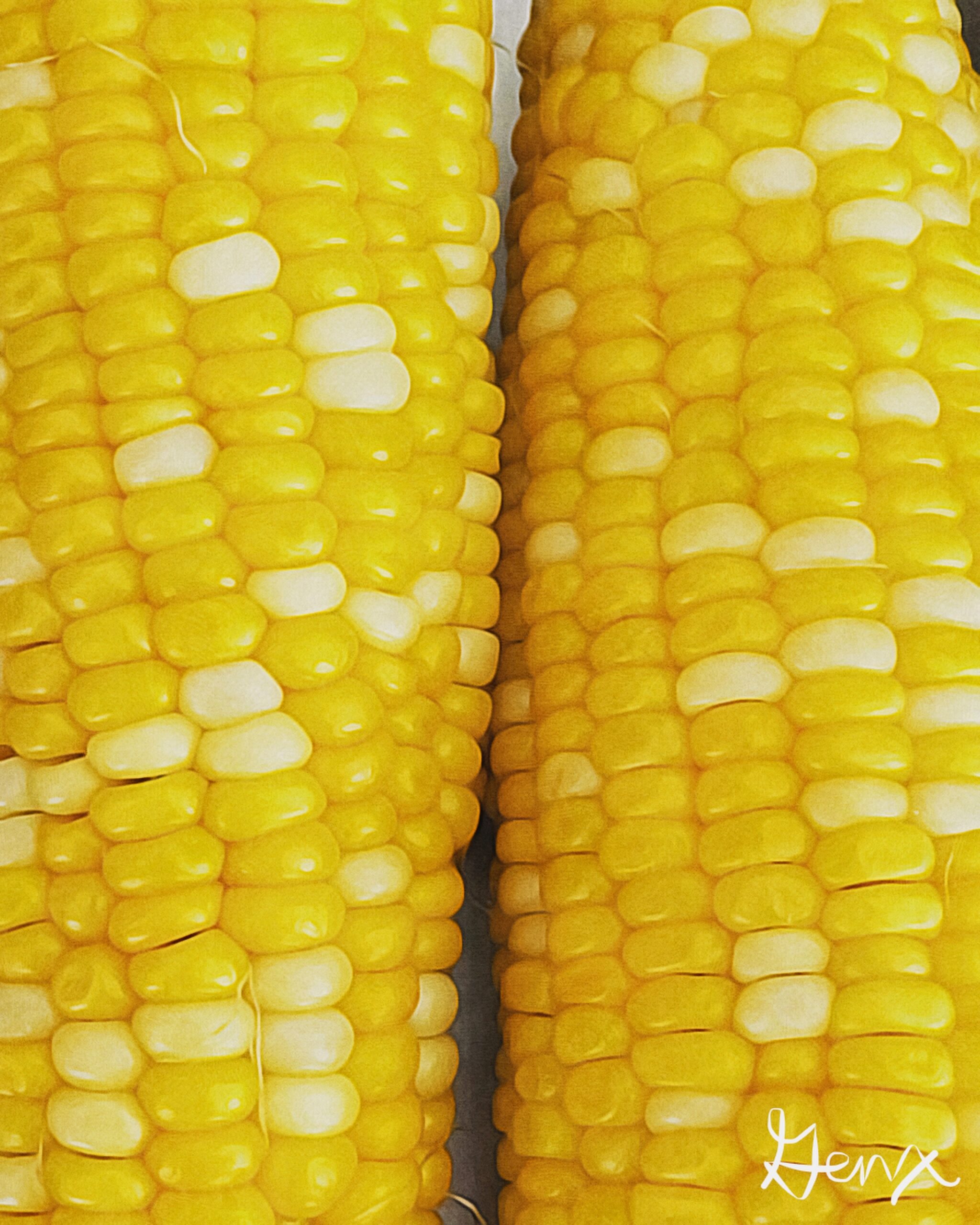 [Art] Corn