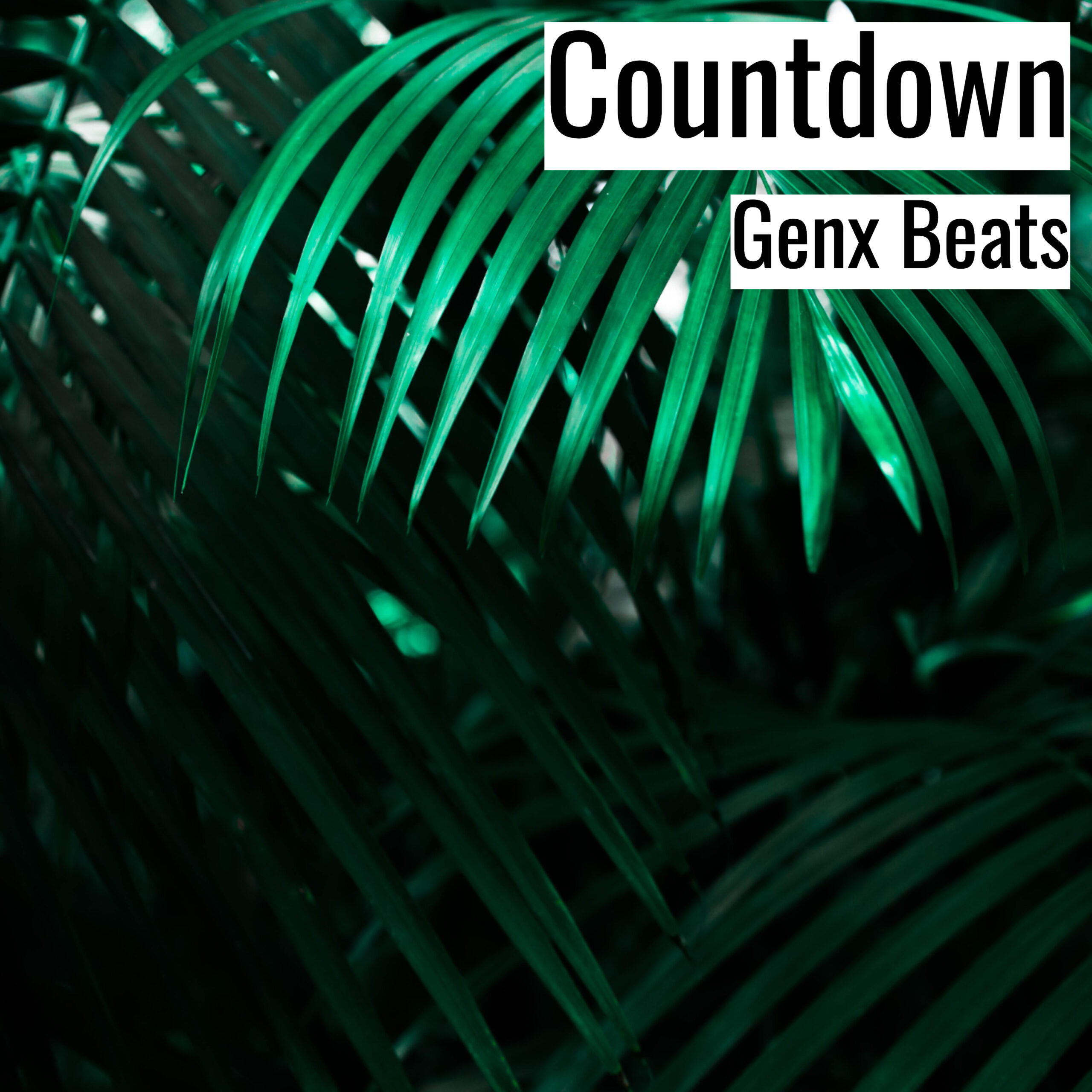 Countdown scaled