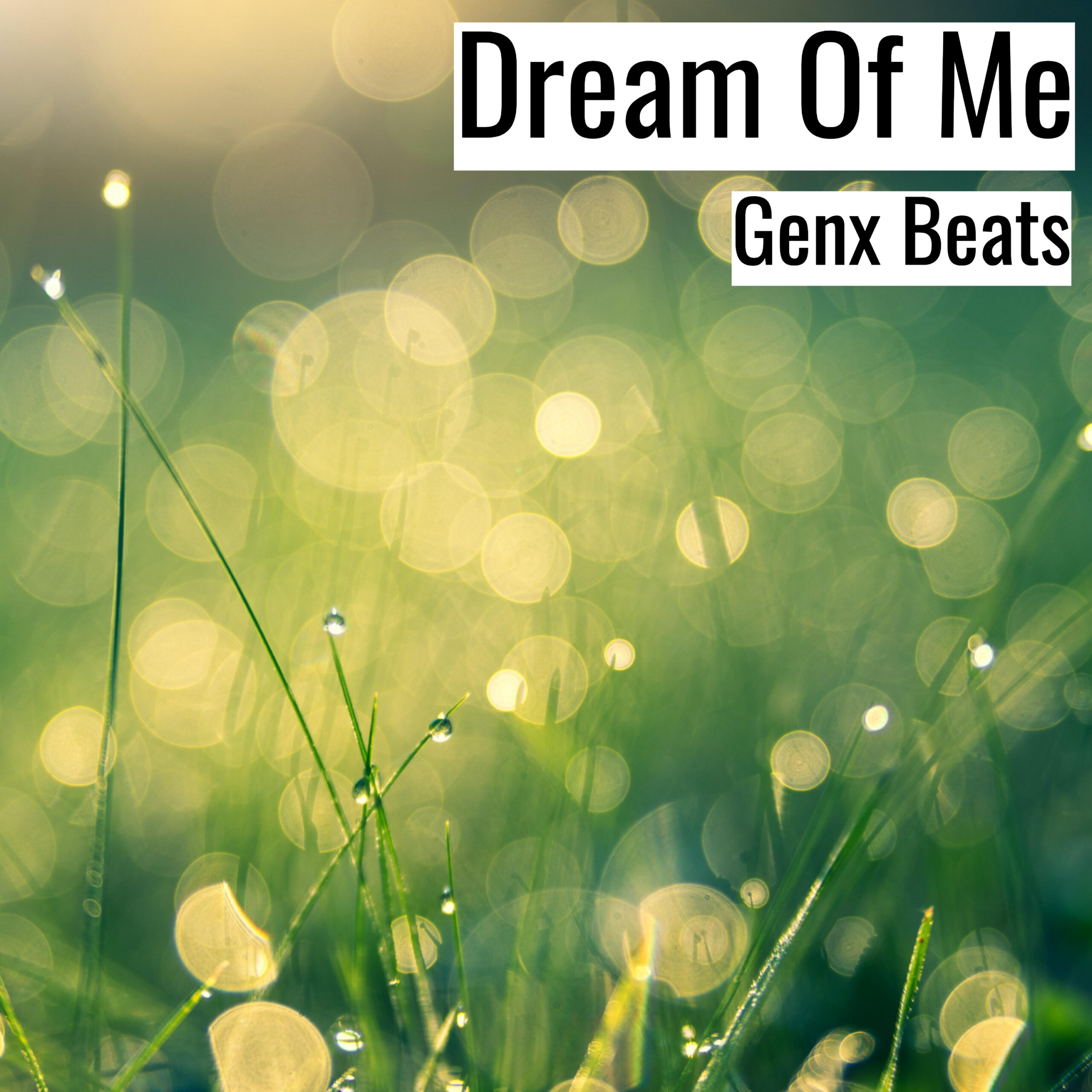 [Emotional Hiphop Beat] Dream Of Me – Genx Beats