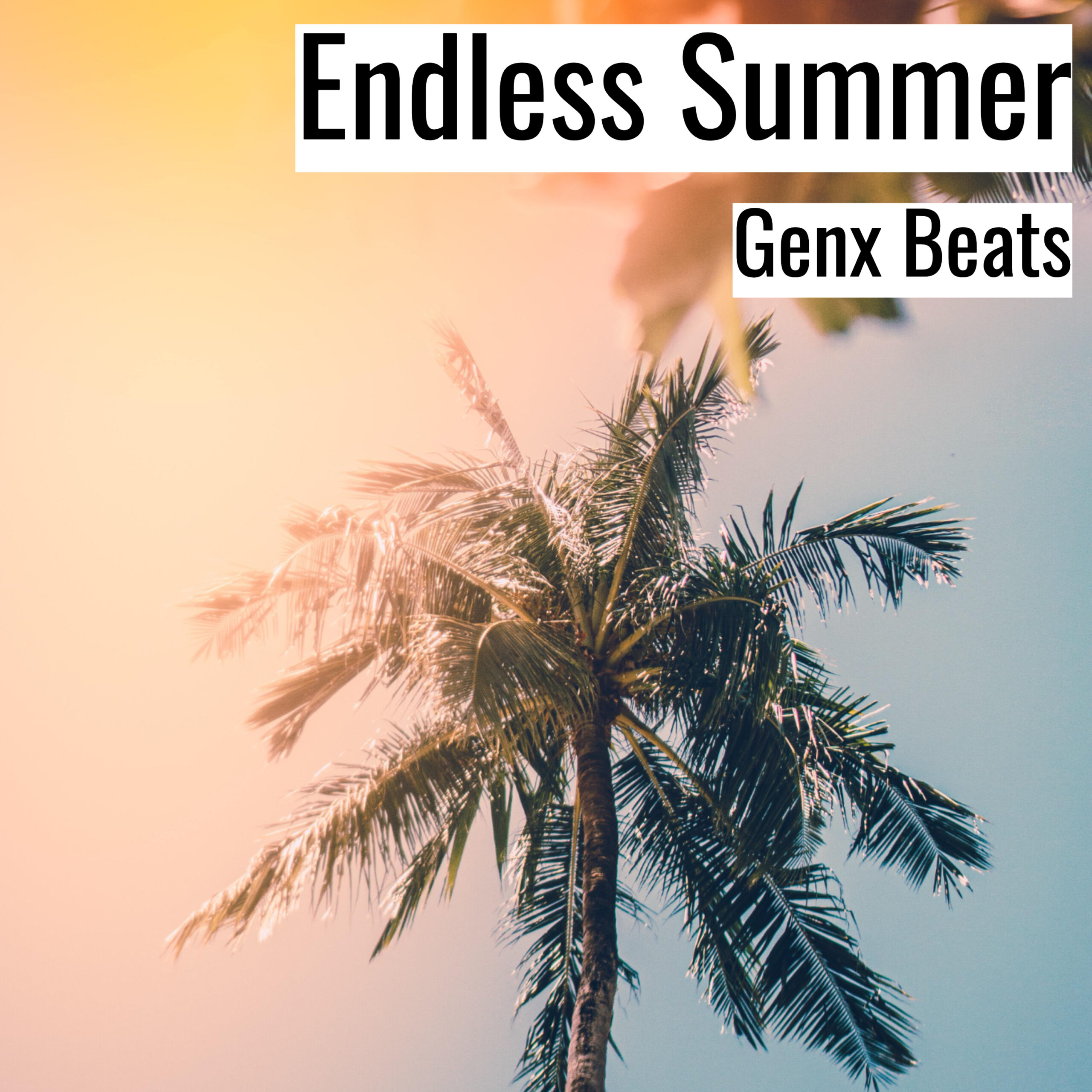[Emotional Hiphop Beat] Endless Summer – Genx Beats