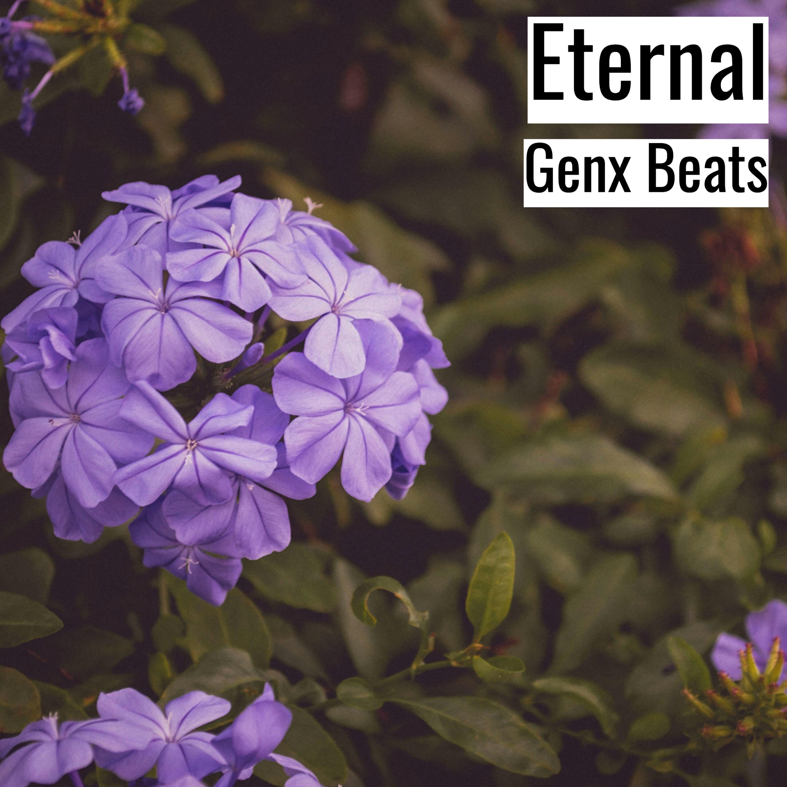 [Emotional Hiphop Beat] Eternal – Genx Beats