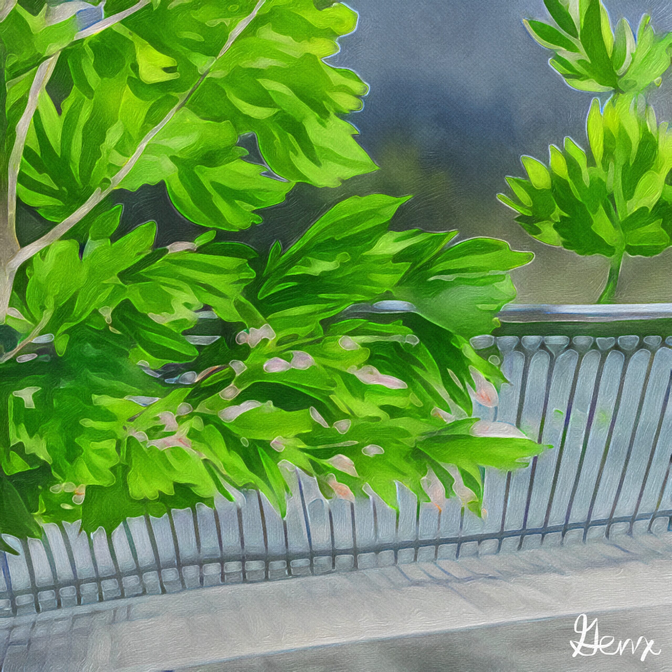 [Art] Flower Road