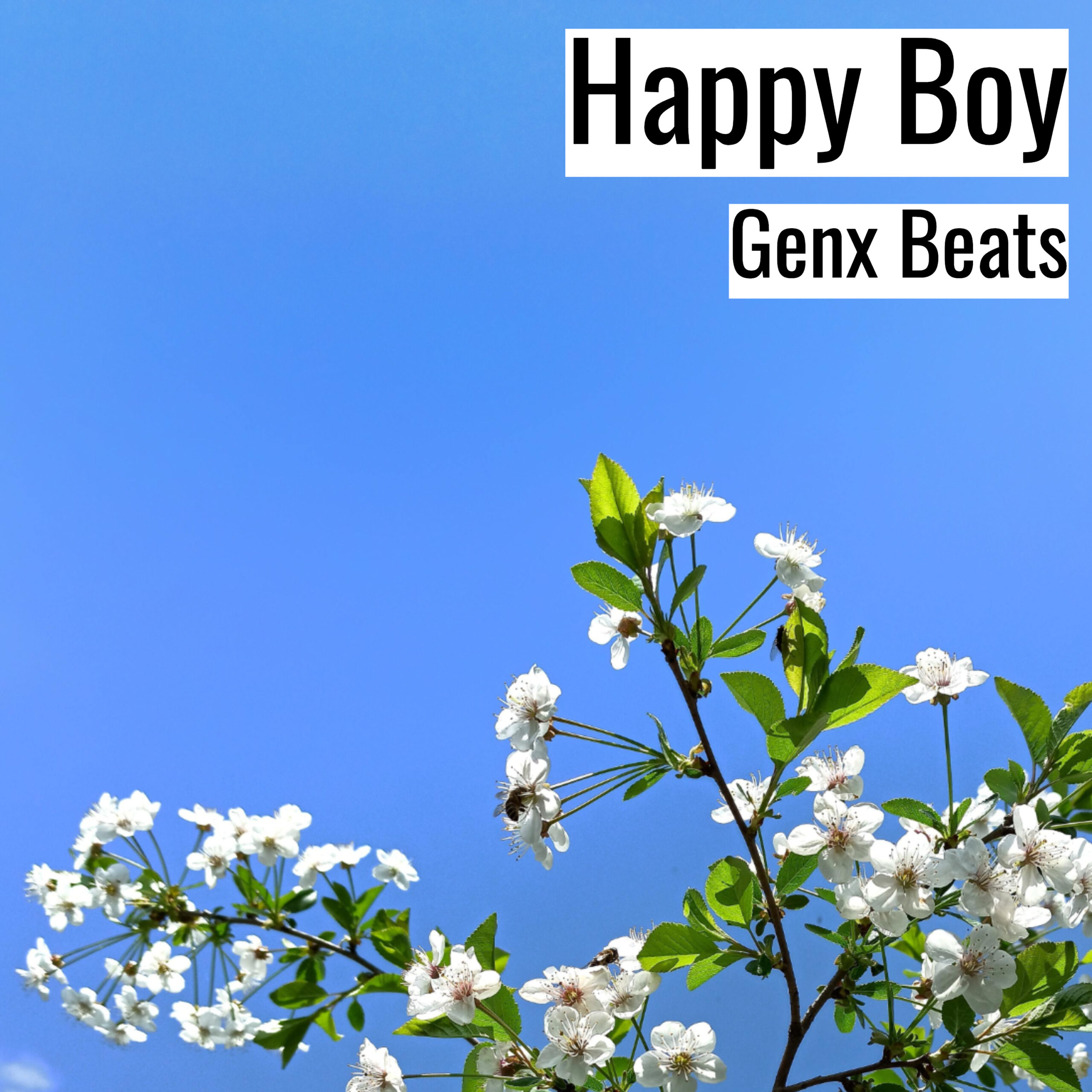 [Happy Hiphop Beat] Happy Boy – Genx Beats