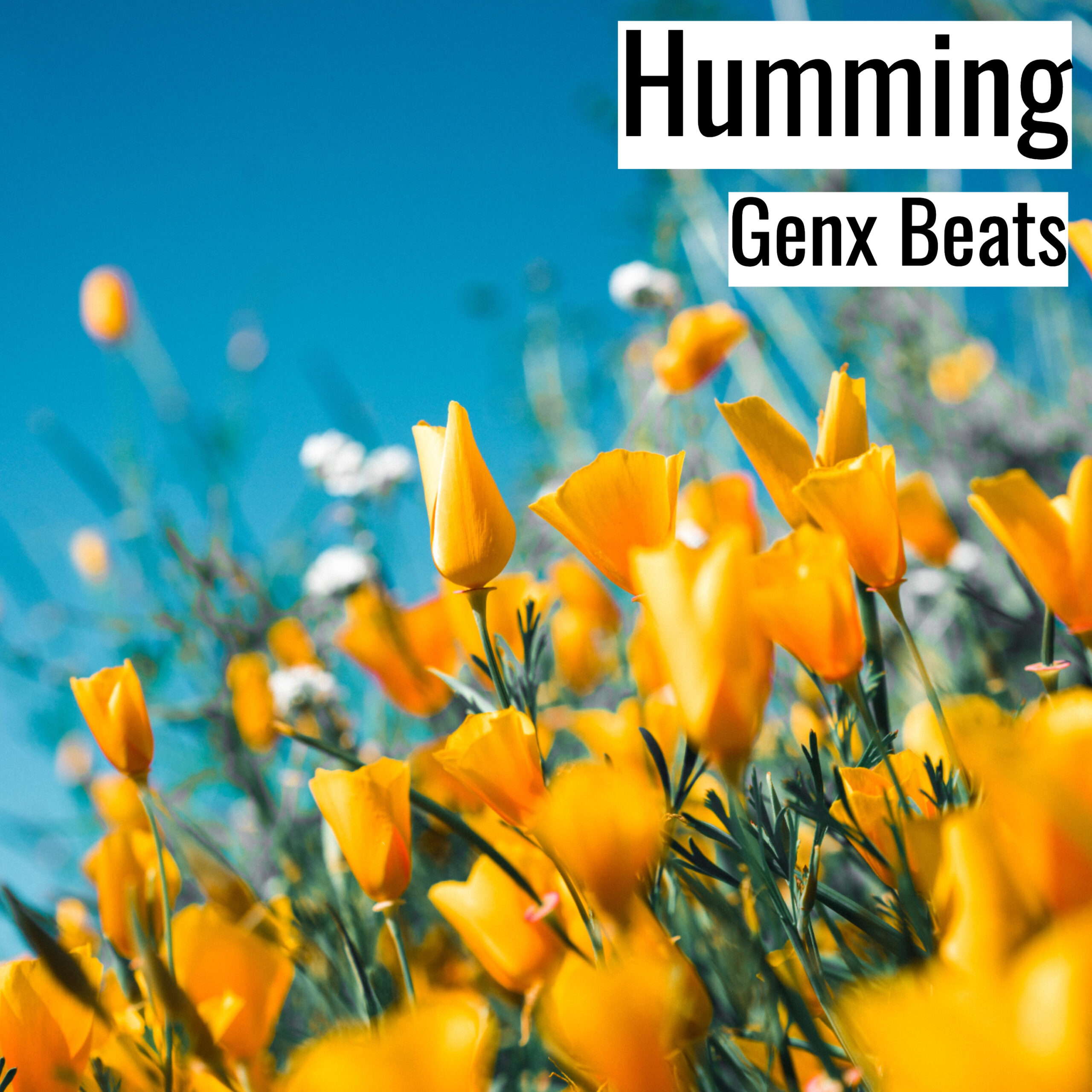 [Happy Hiphop Beat] Humming – Genx Beats
