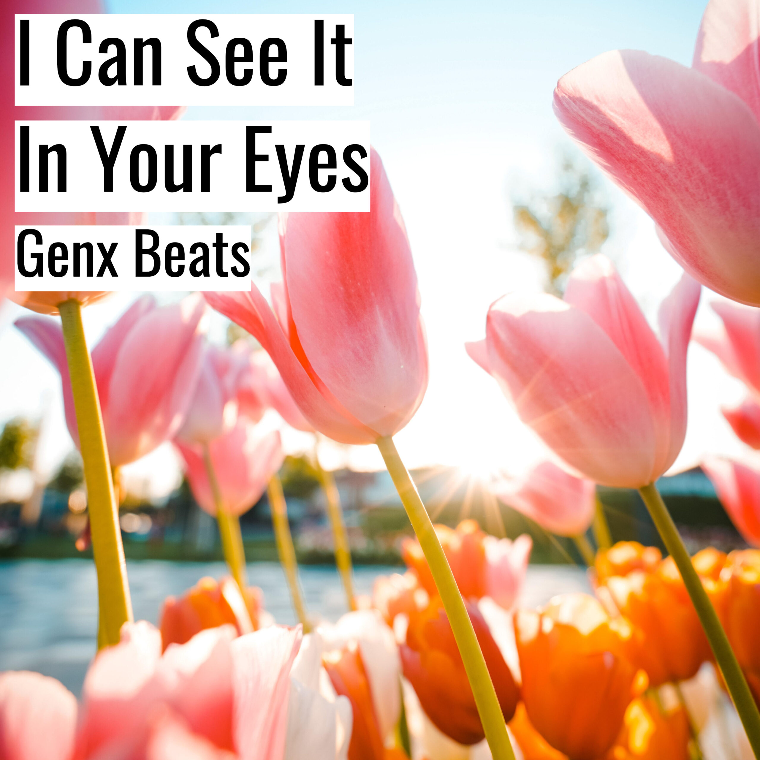 [Emotional Hiphop Beat] I Can See It In Your Eyes – Genx Beats