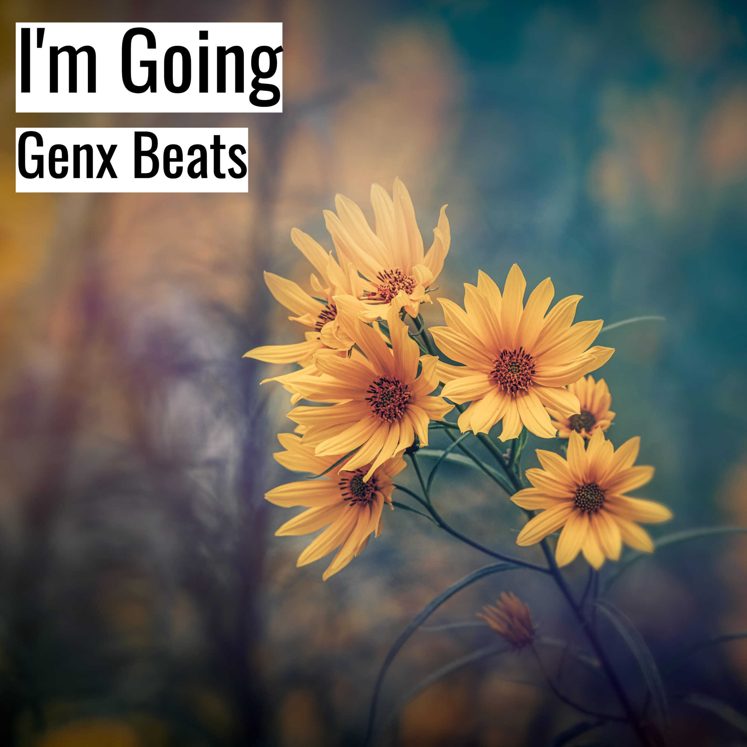 [Emotional Hiphop Beat] I’m Going – Genx Beats