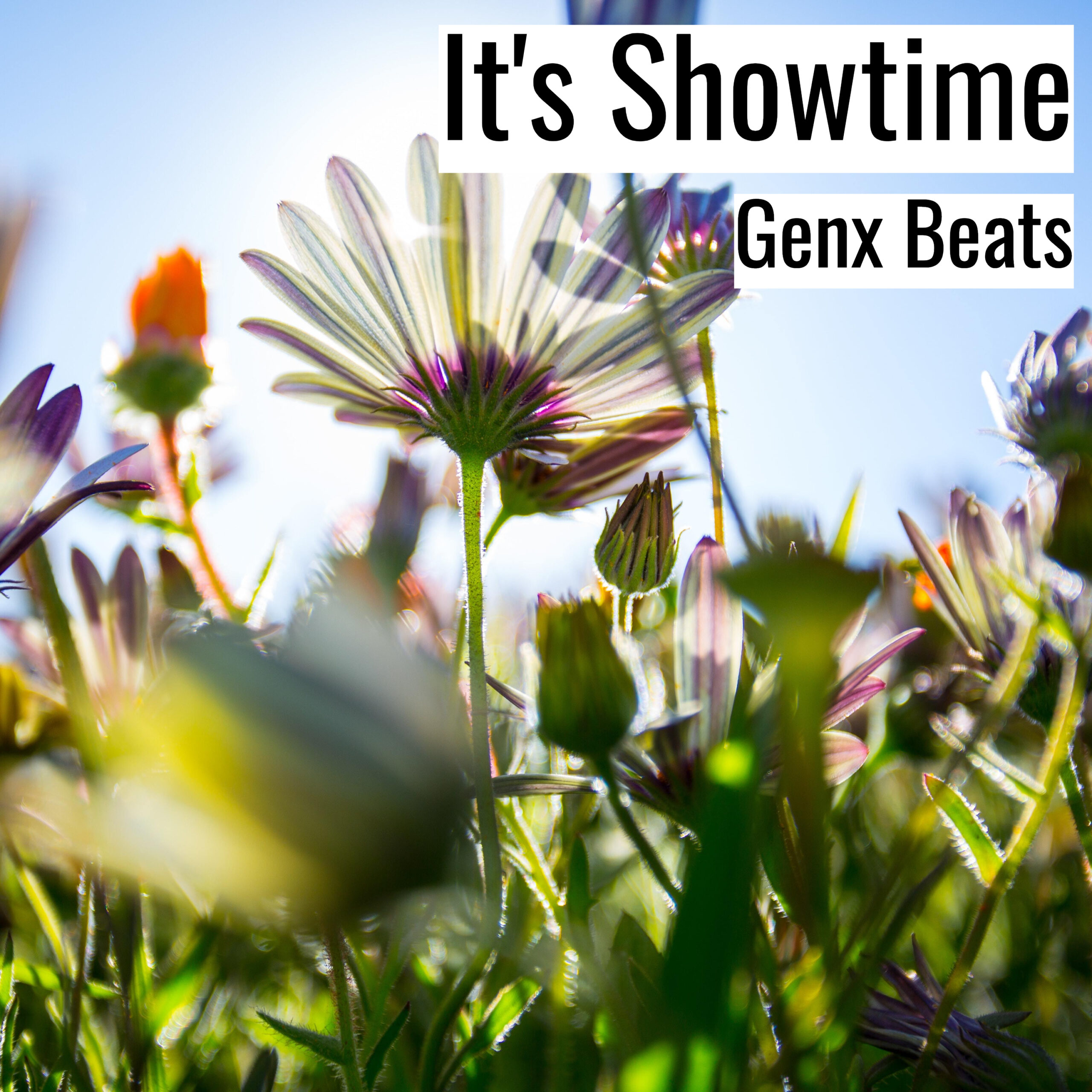 Its Showtime scaled