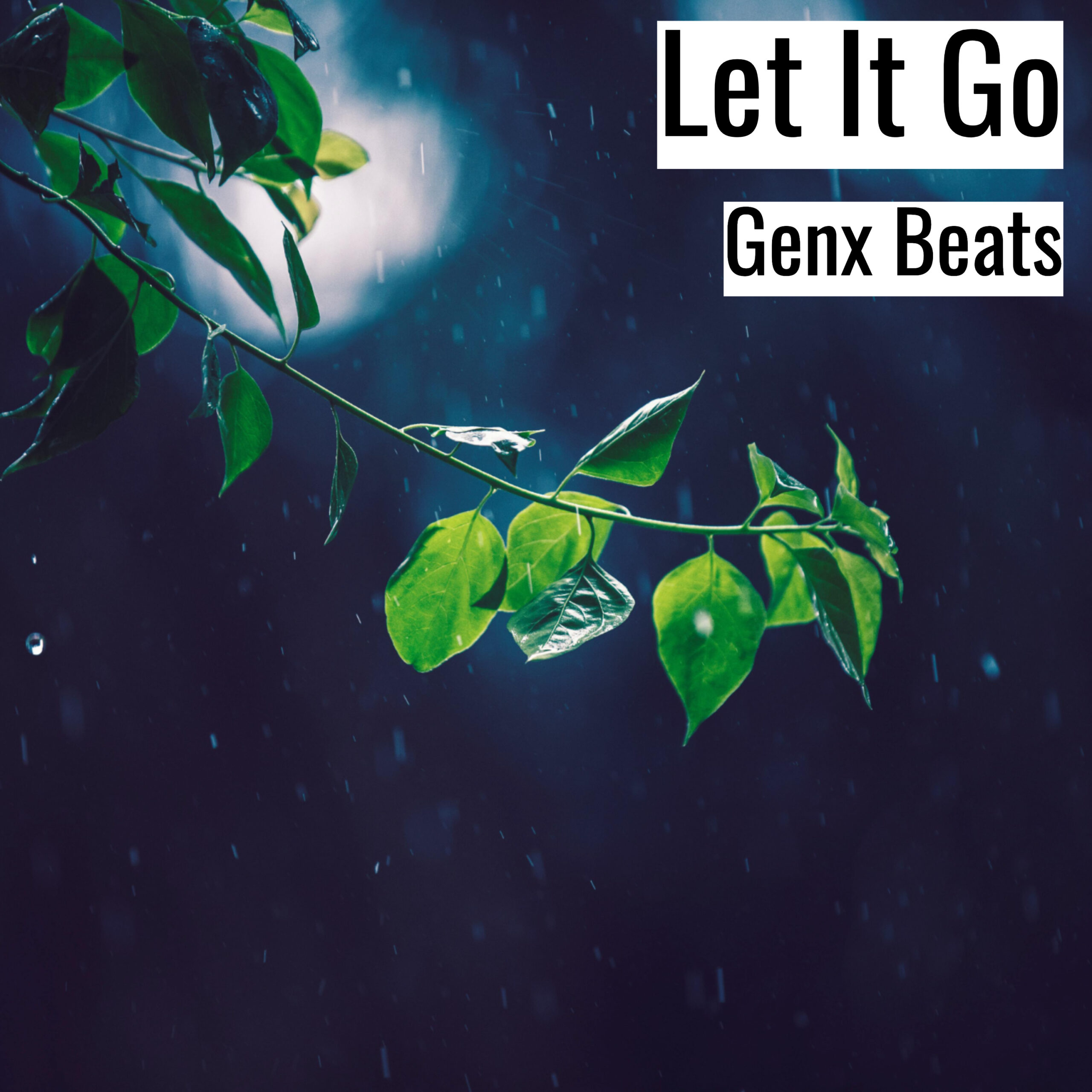 [Emotional Hiphop Beat] Let It Go – Genx Beats