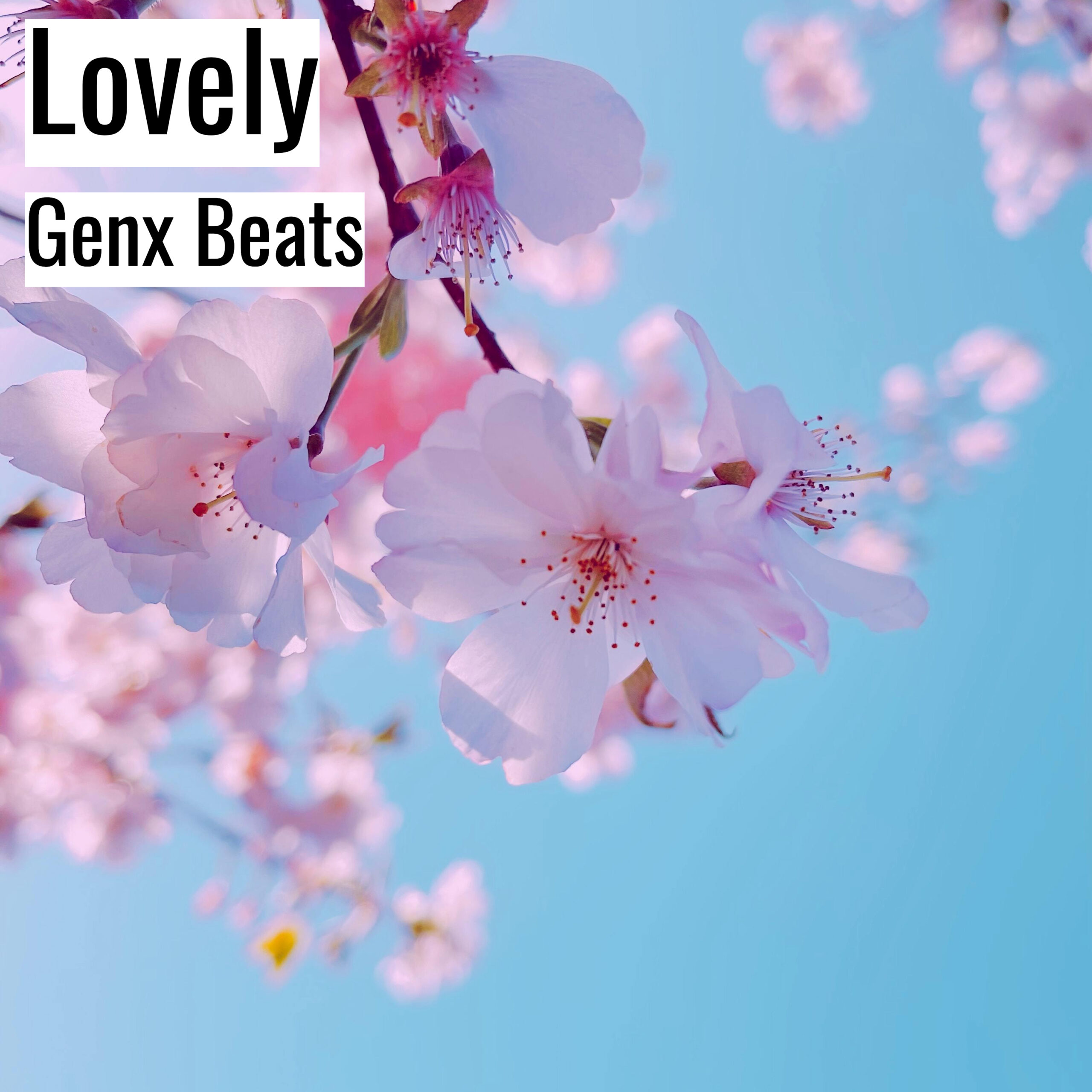 [Emotional Hiphop Beat] Lovely – Genx Beats