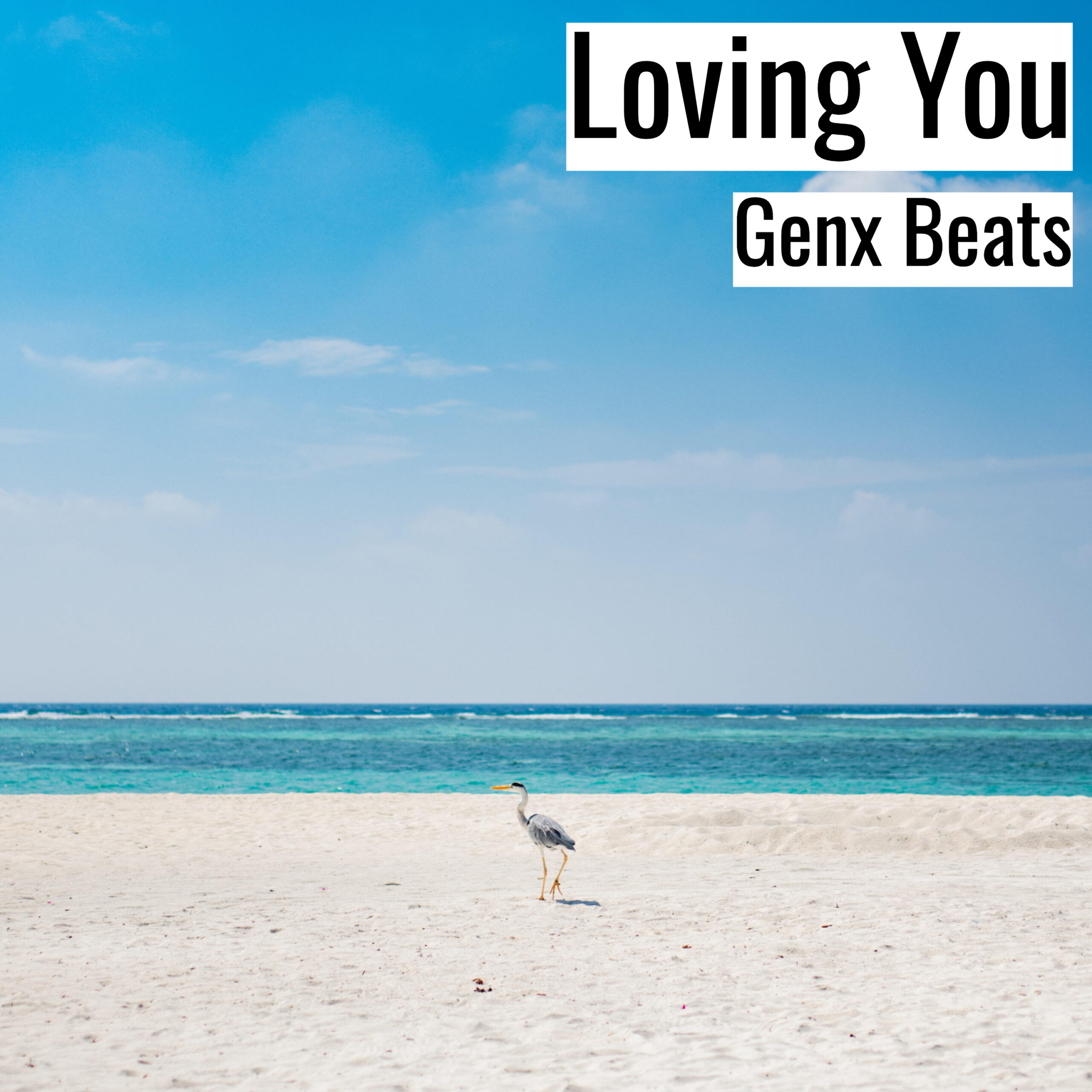 [Happy Hiphop Beat] Loving You – Genx Beats