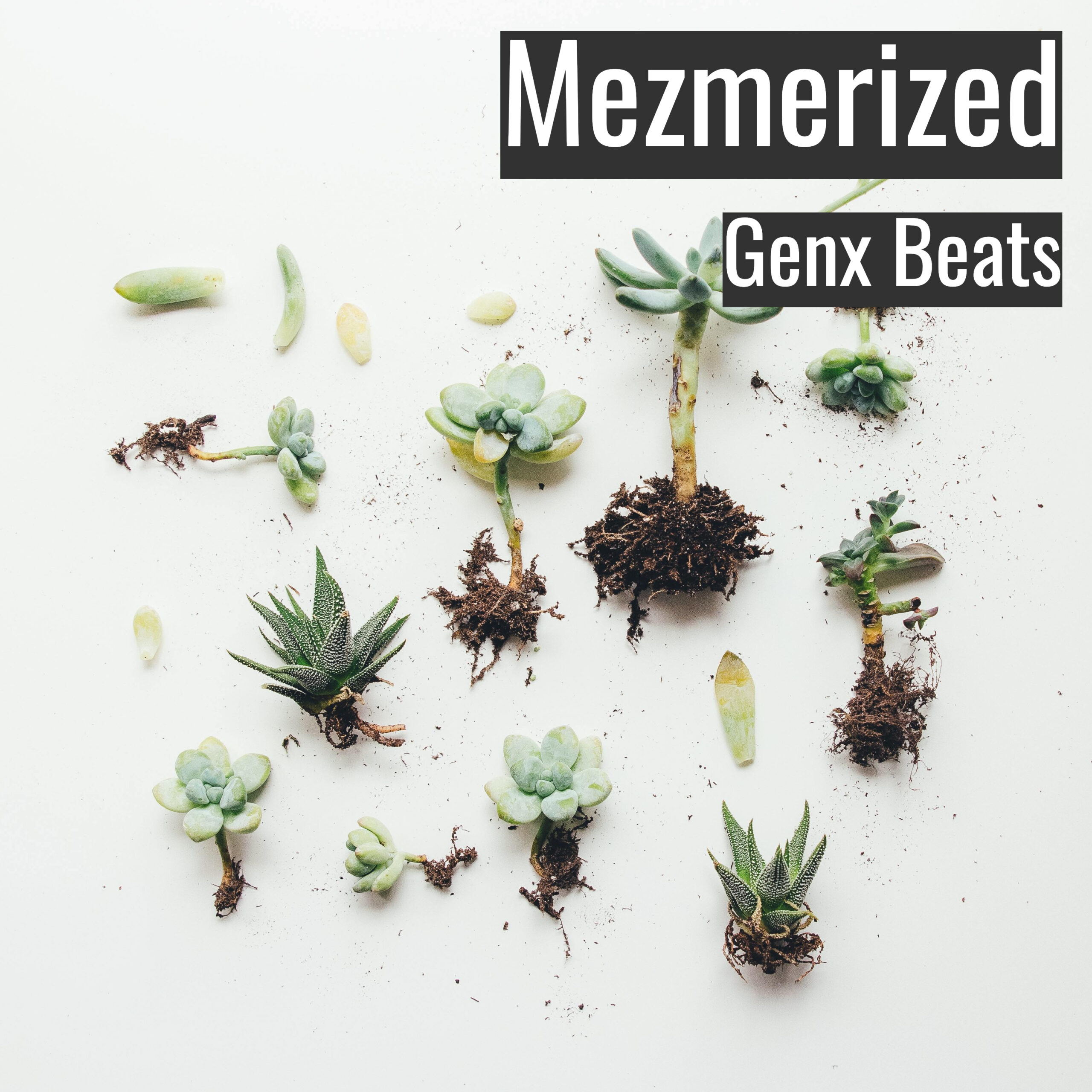 Mezmerized scaled