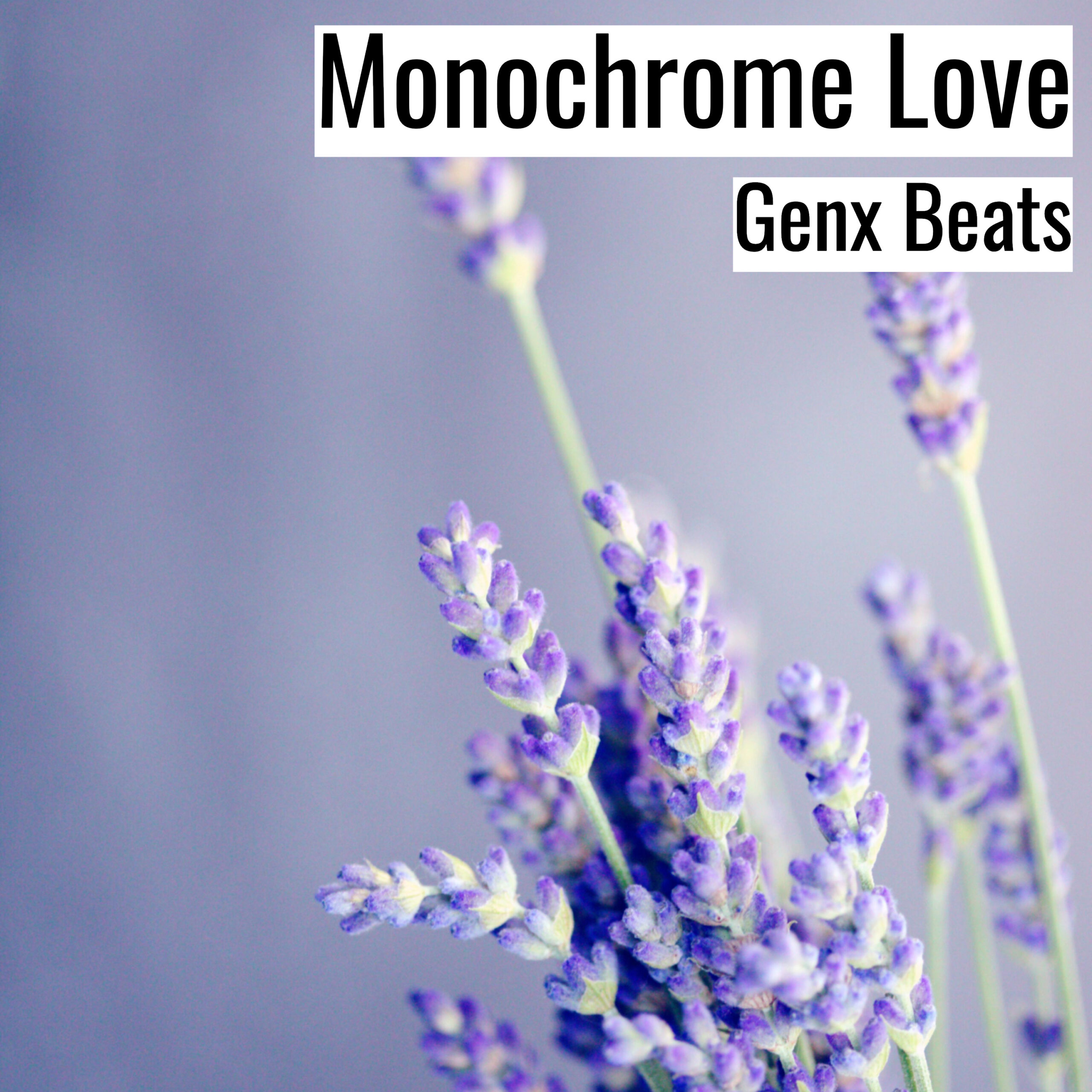 [Emotional Hiphop Beat] Monochrome Love – Genx Beats