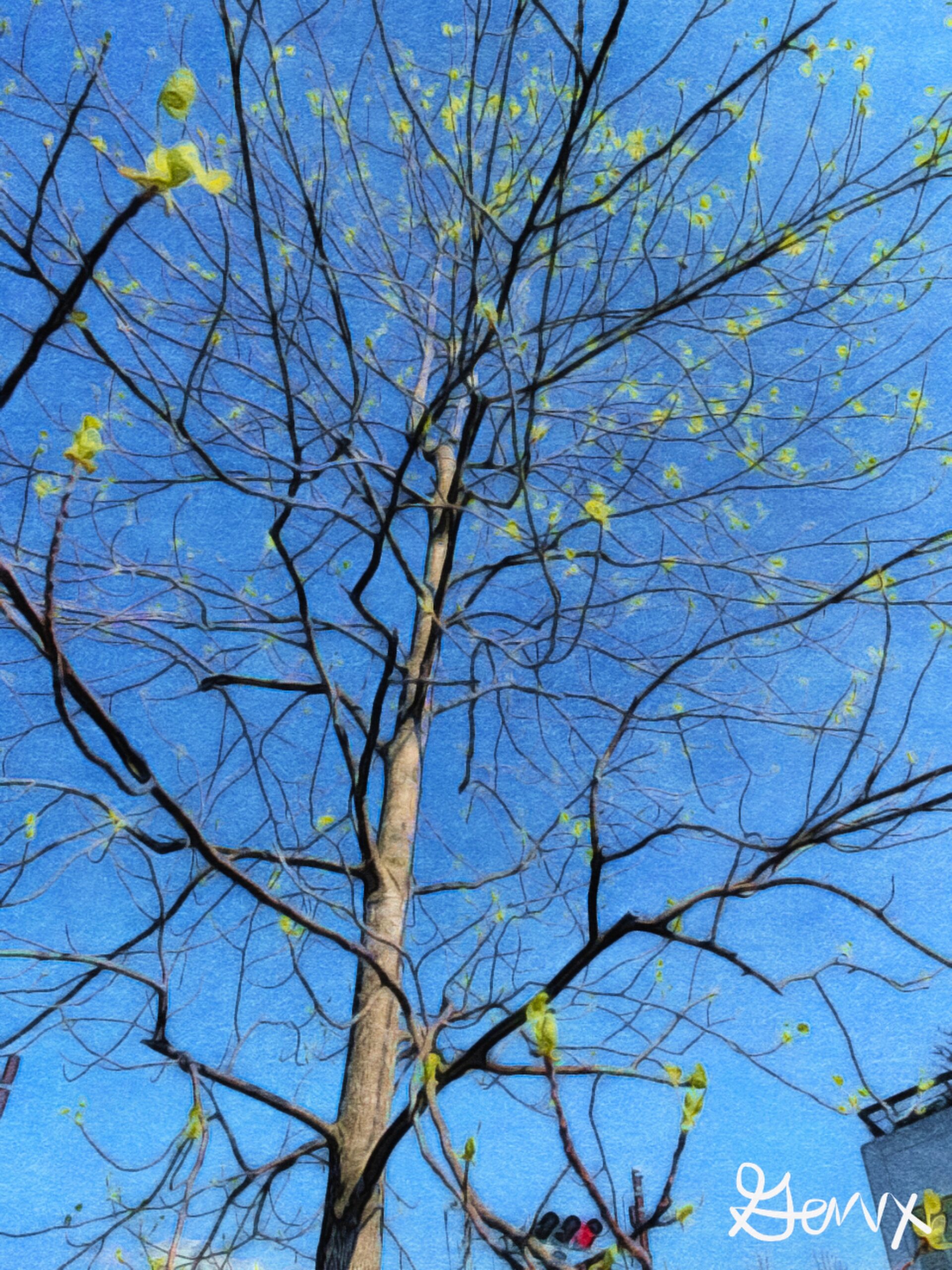 [Art] New Leaves