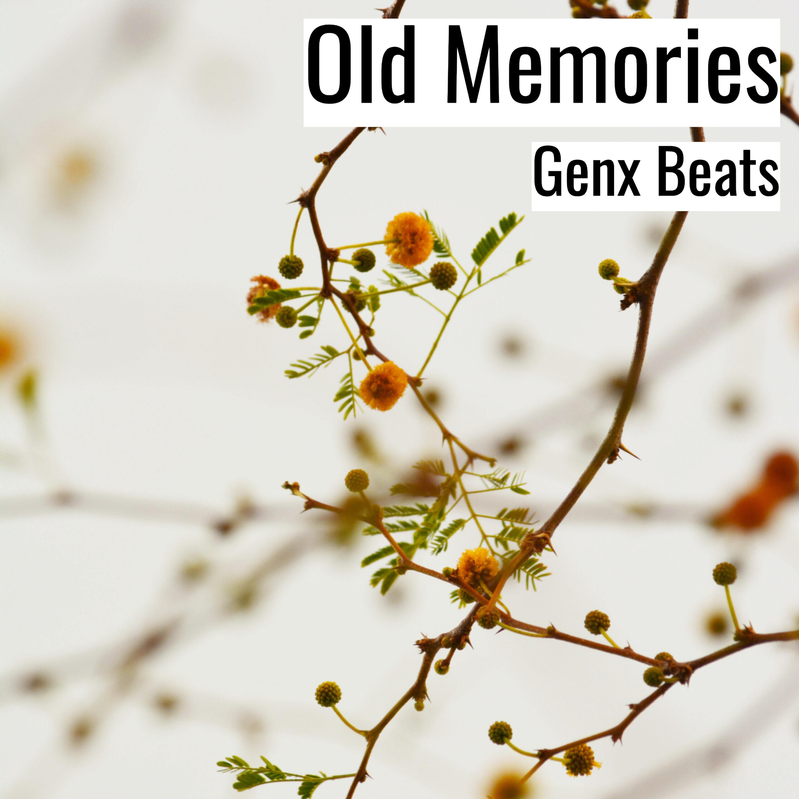 [Emotional Hiphop Beat] Old Memories – Genx Beats